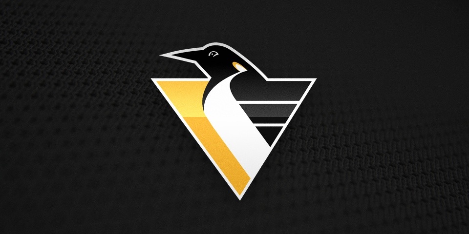  The Penguins began wearing black in 1980 but when the "RoboPenguin" logo was implemented in 1992, it was widely despised. It was replaced in 2002 and fully eradicated in 2007. 