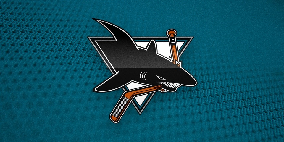  The Sharks joined the NHL in 1991 with this logo. Many fans still consider it a classic, but so many highly detailed lines are just overkill. A modernized design replaced it in 2007. 