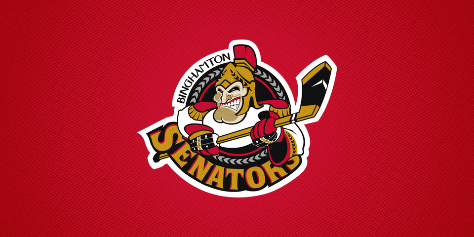  Binghamton Senators primary logo, 2002—? 