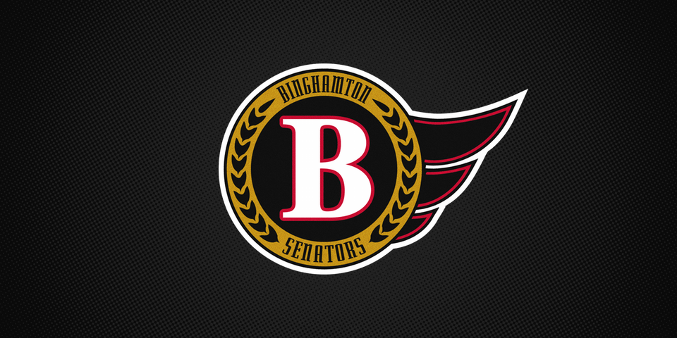  Binghamton Senators shoulder patch, 2002— 