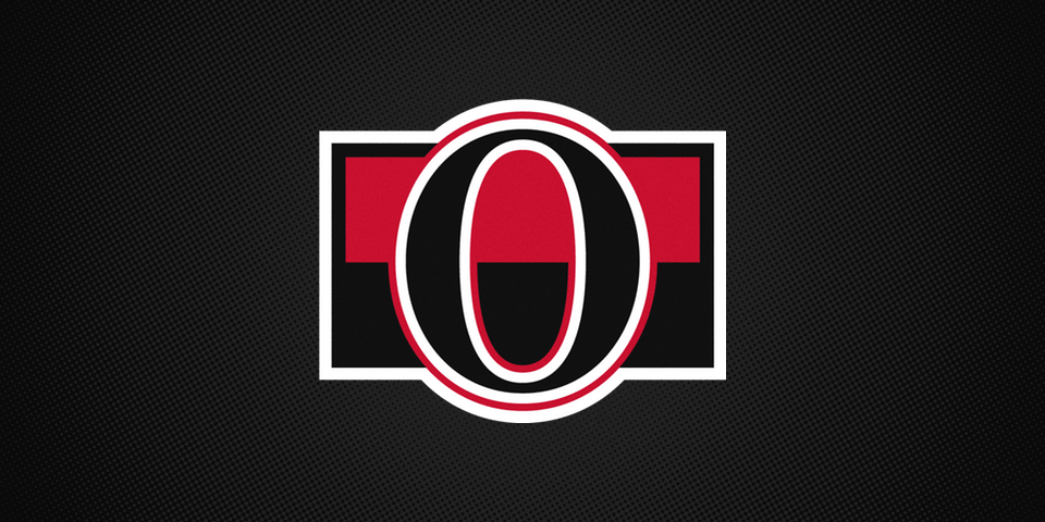  Binghamton Senators affiliate shoulder patch, 2014— 