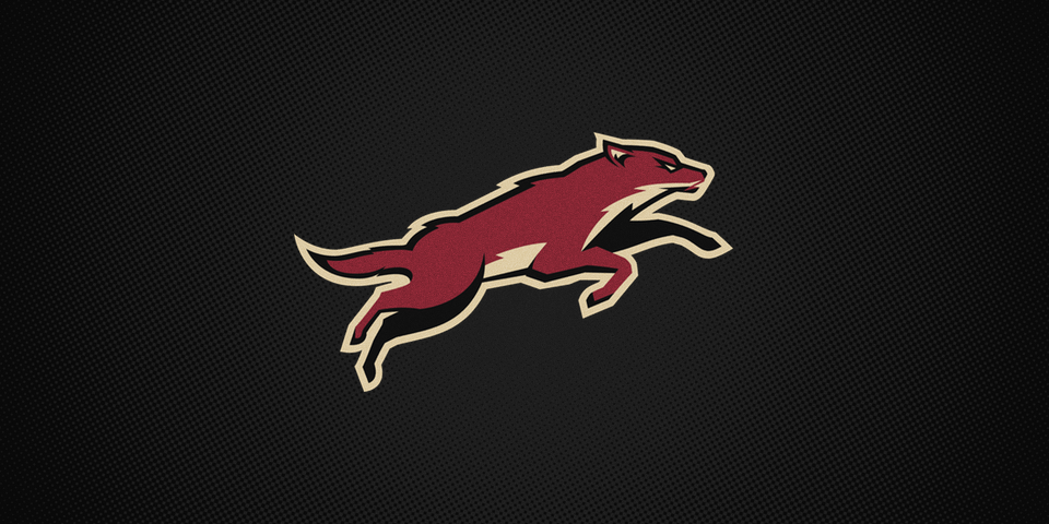 Phoenix Coyotes third jersey crest, 2008—2014 