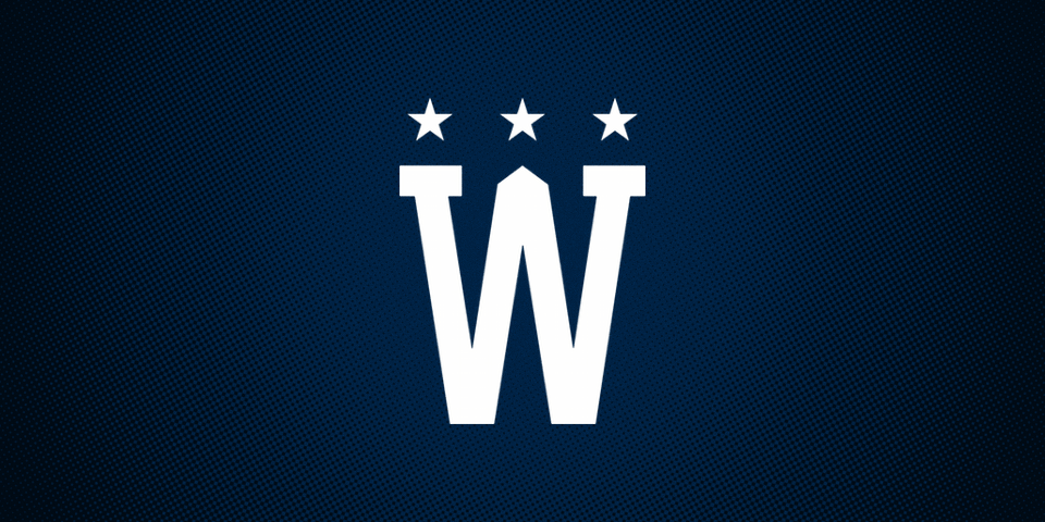  Washington Capitals 2015 Winter Classic secondary logo 