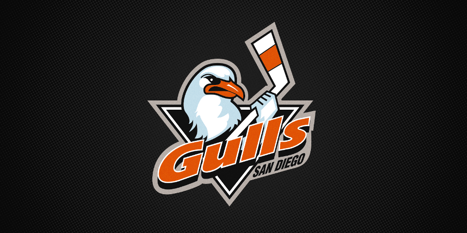  San Diego Gulls, 1995—2006 