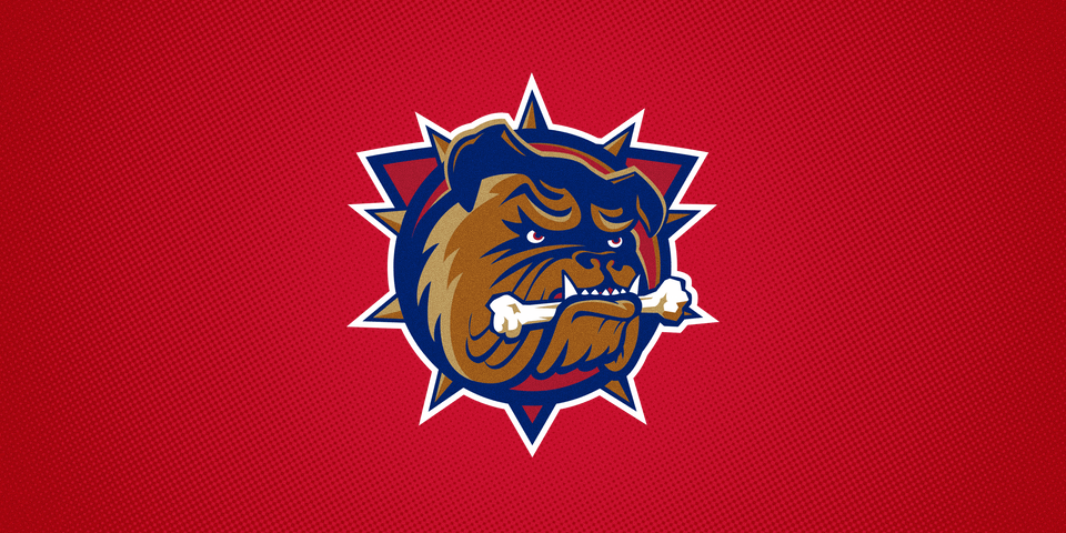  Hamilton Bulldogs (AHL), 1996—2015 
