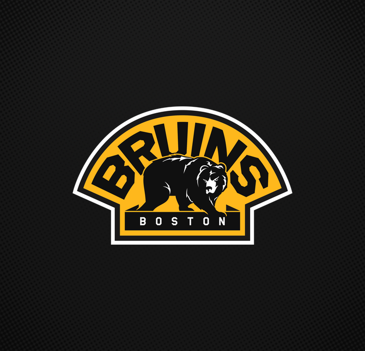Boston Bruins Colors and Logo: A History and Color Codes — The
