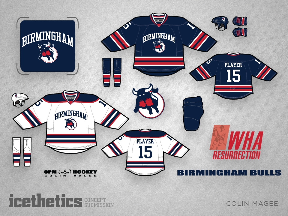 birmingham bulls hockey jersey