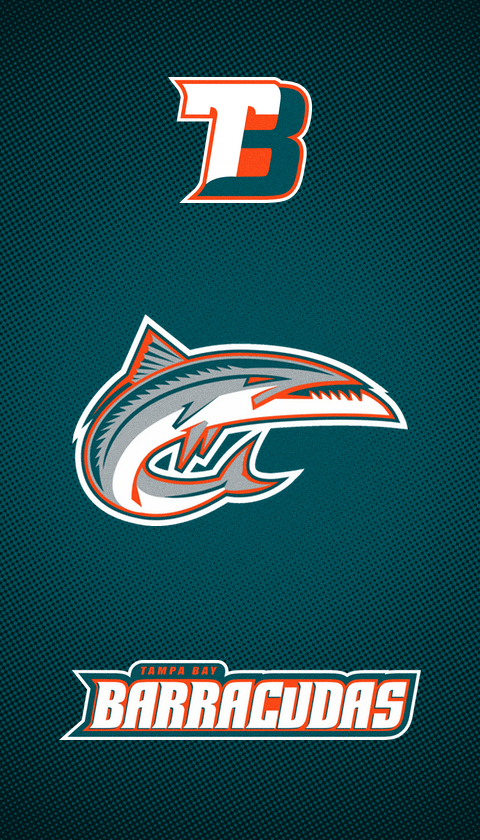 tampabay.png