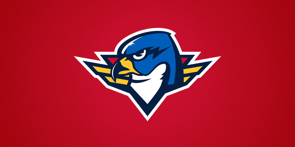 Springfield names new AHL team Thunderbirds —