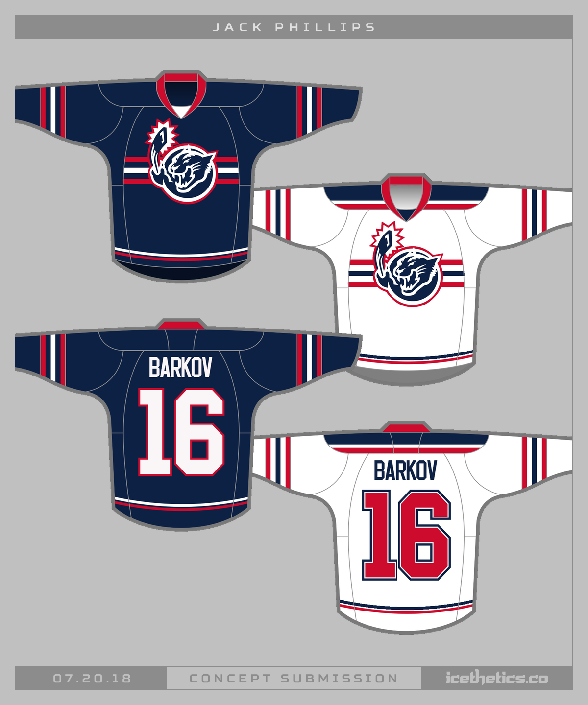 florida panthers jersey concepts