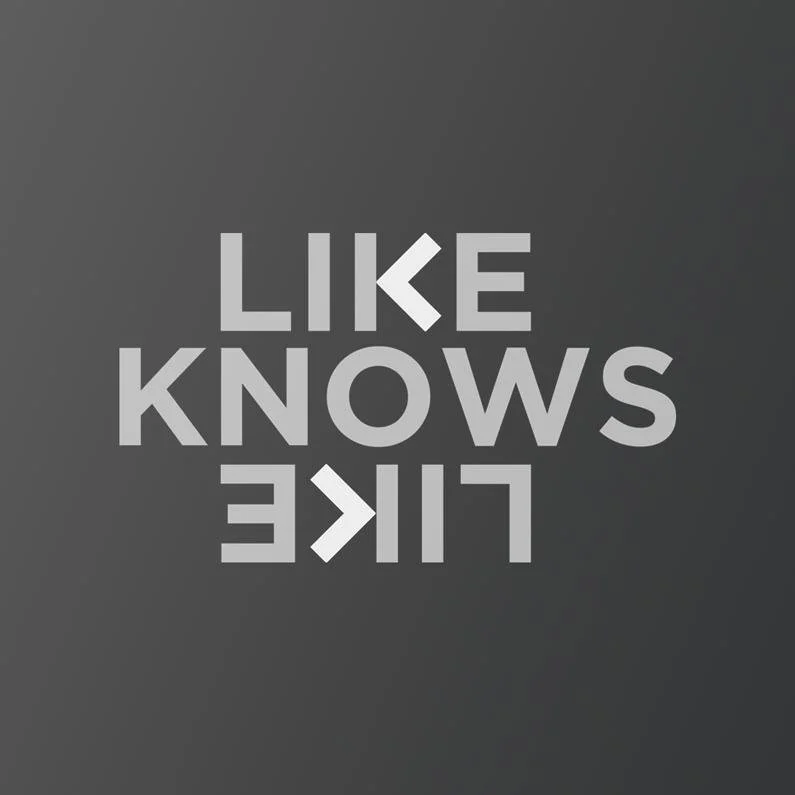 Like Knows Like.jpeg