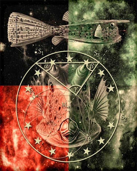 Fish in Space Series