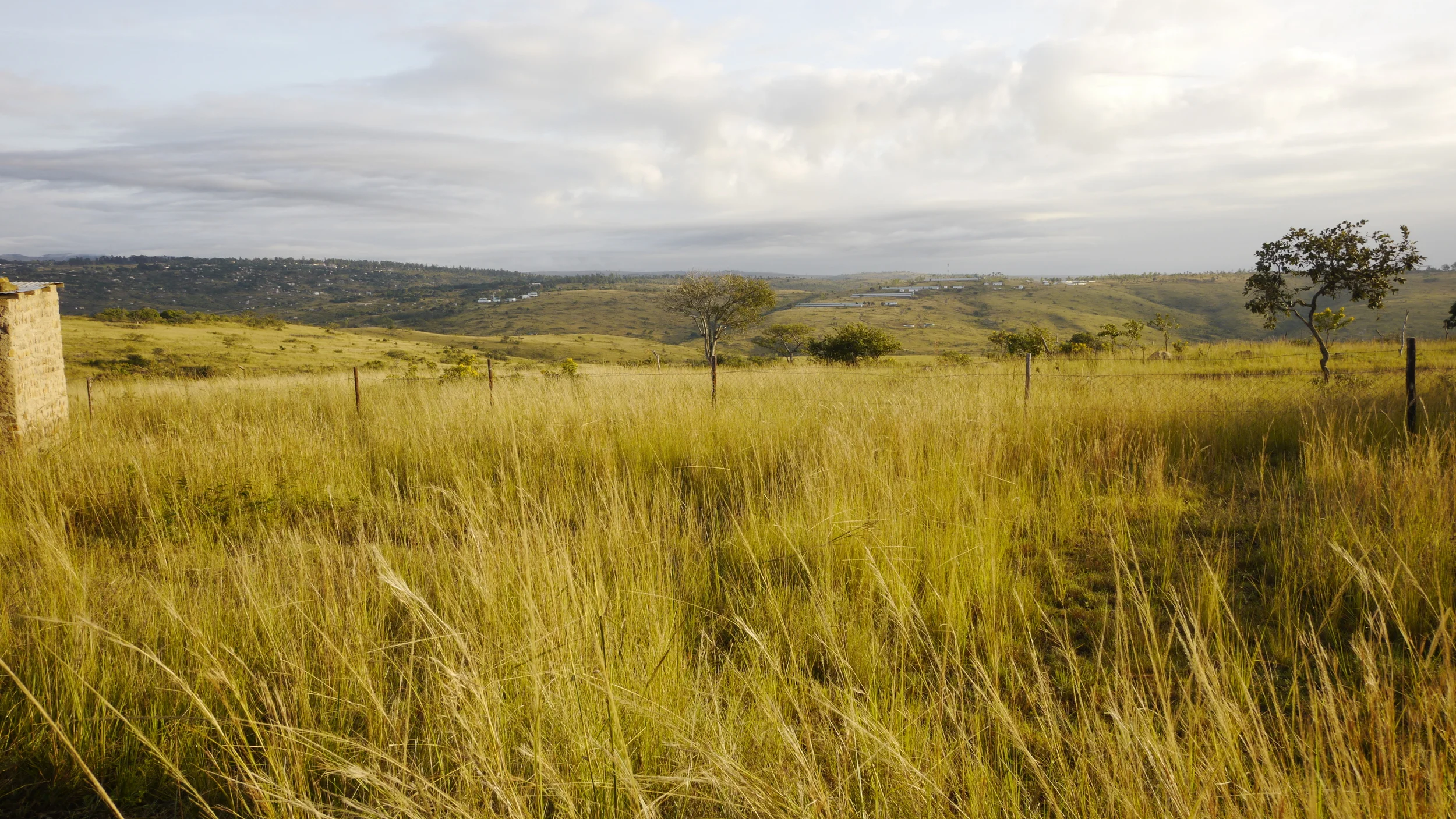 My Time in Africa: Peter Steen