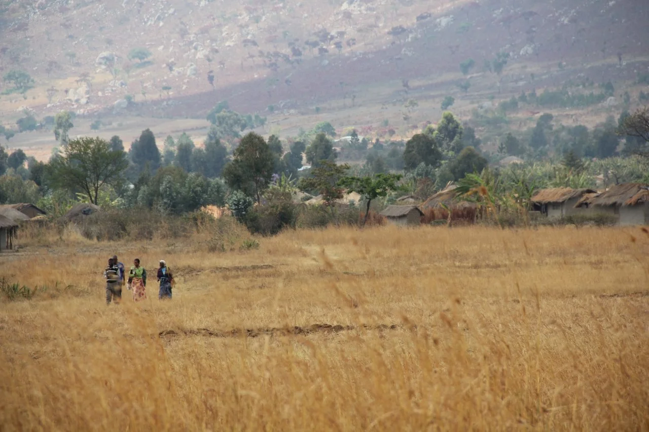 Our Calling: Royie and Violet Nazombe