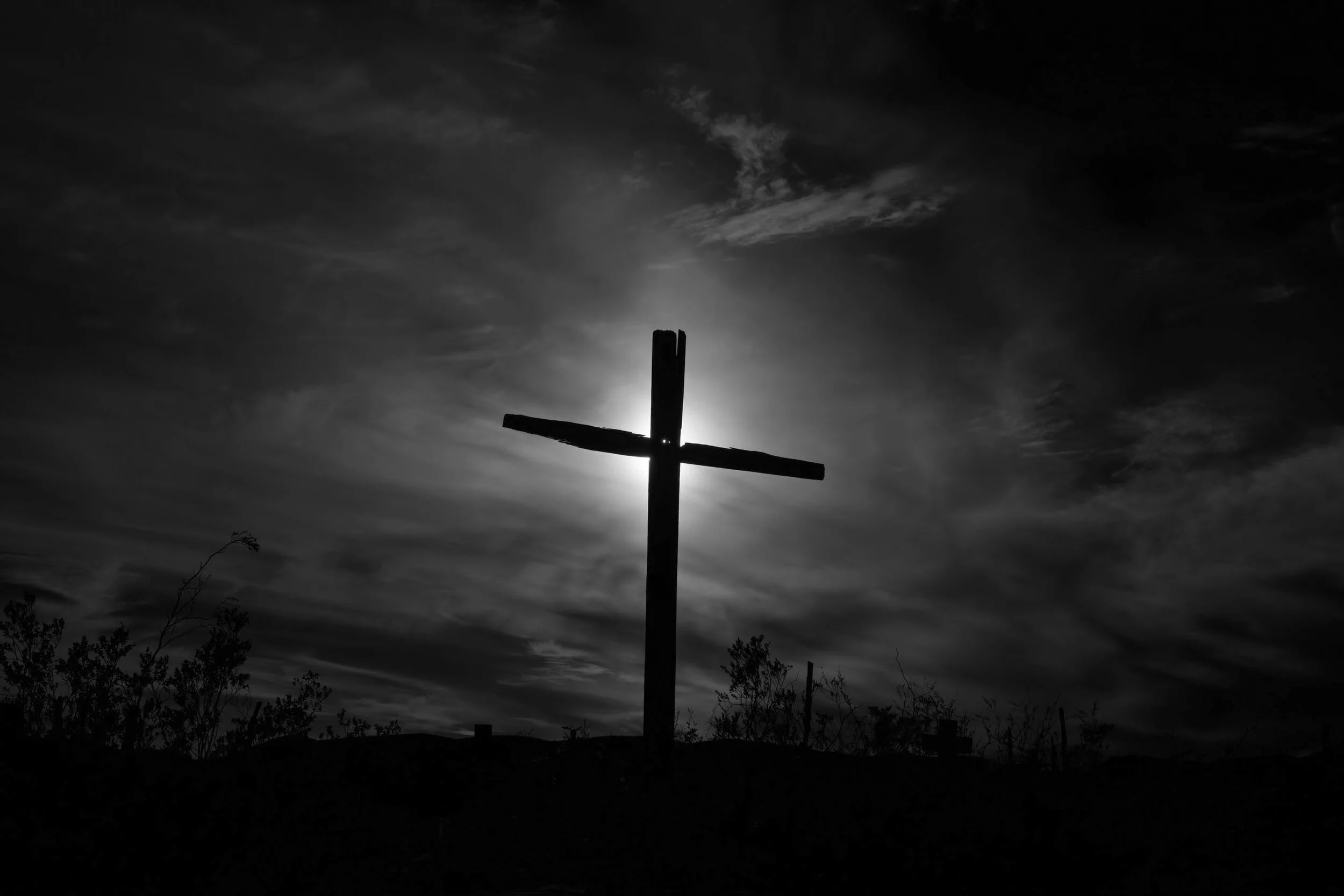 Day 38 - Jesus' Final Days - Carrying The Cross