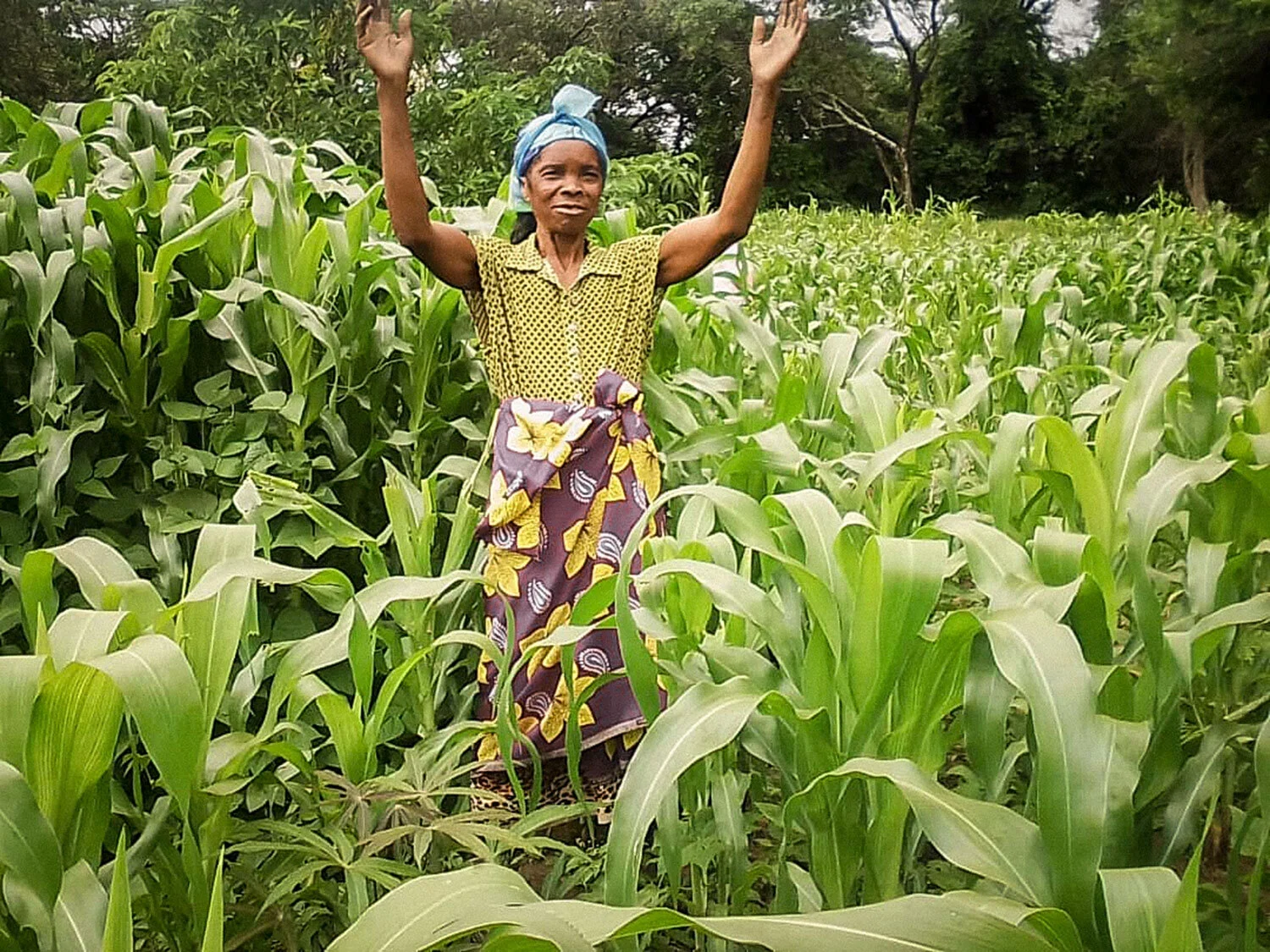 Maposa, Zambia — Hands at Work in Africa