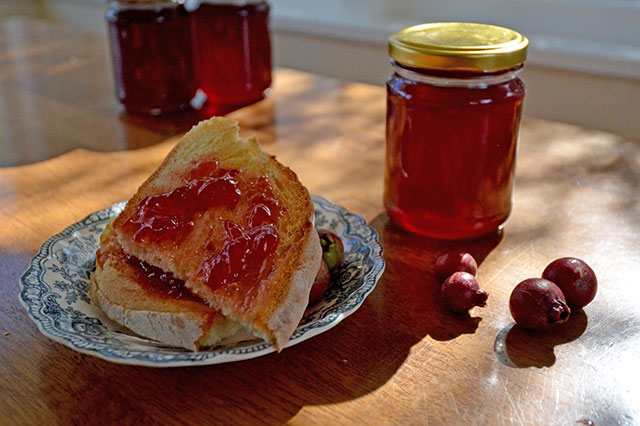 Guava Jelly Recipe The Jamjar