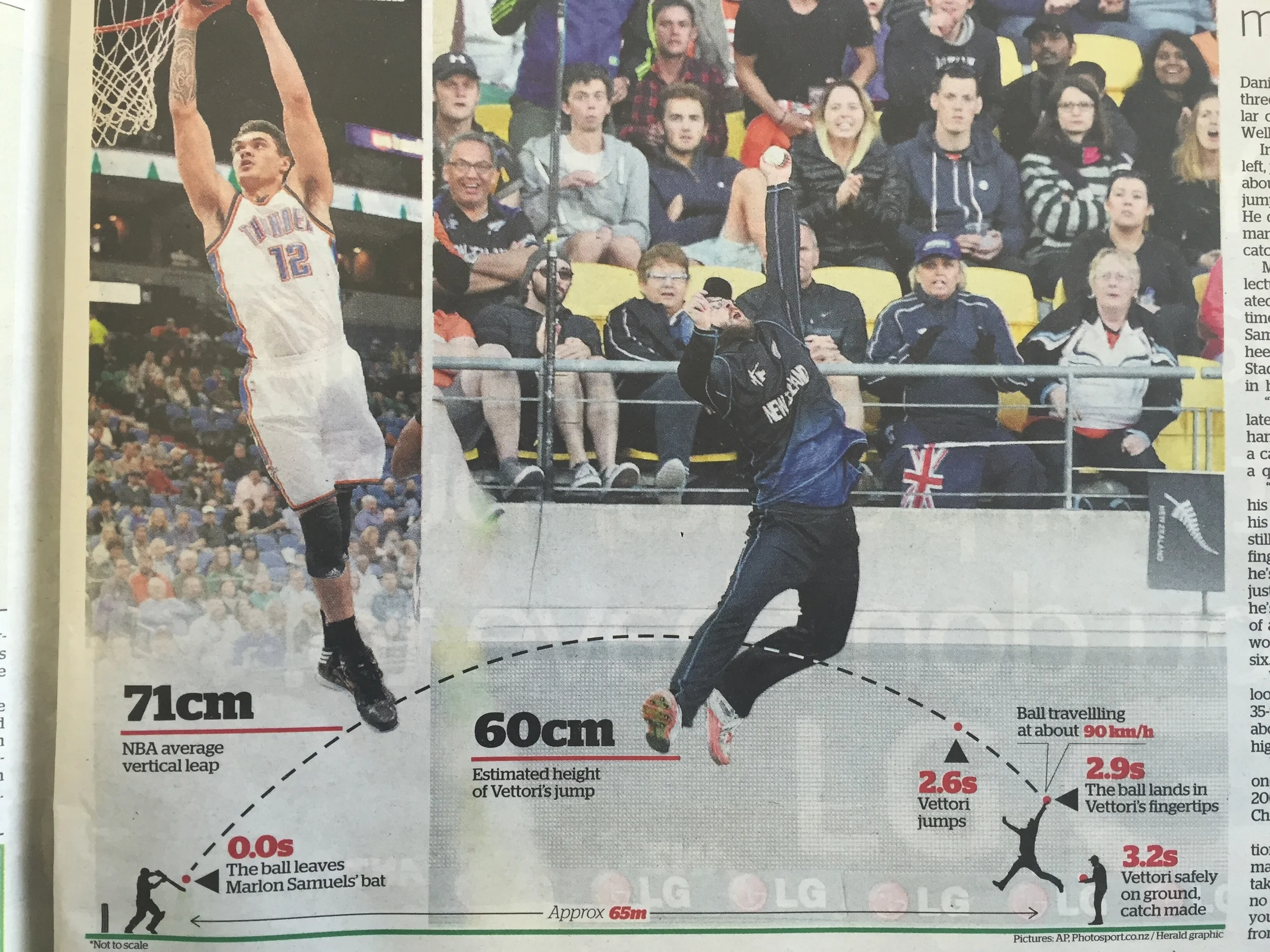 Graphic from NZ Herald's anaylsis of Vittori's catch.