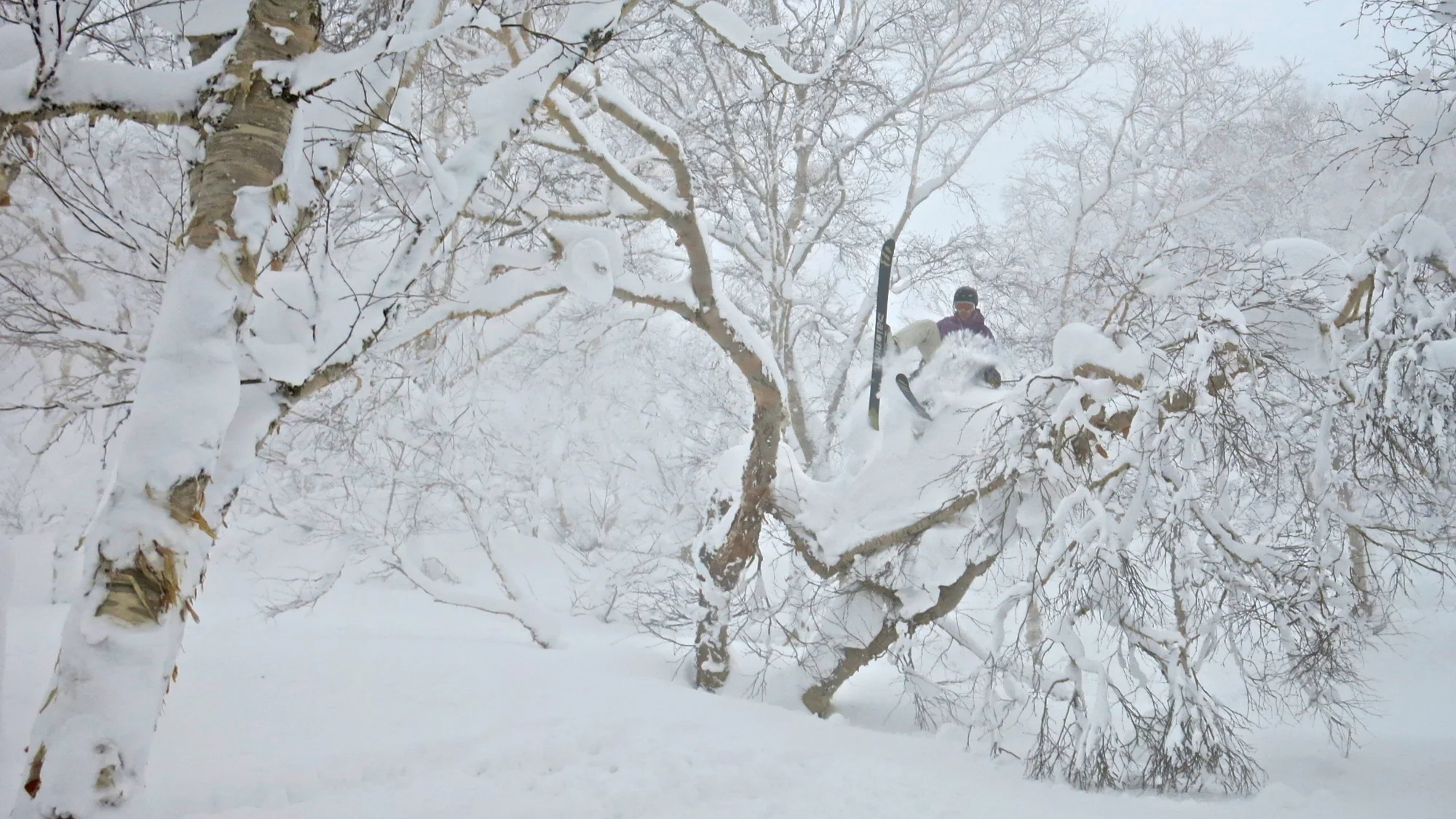 Niseko '013 10292 - Version 2.jpg