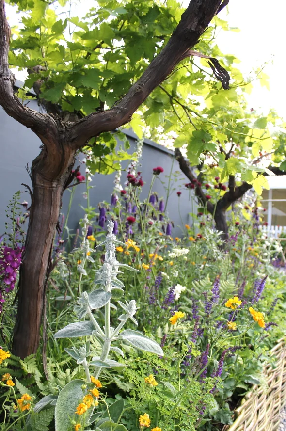 Drake Hourigan Bloom Web033.JPG