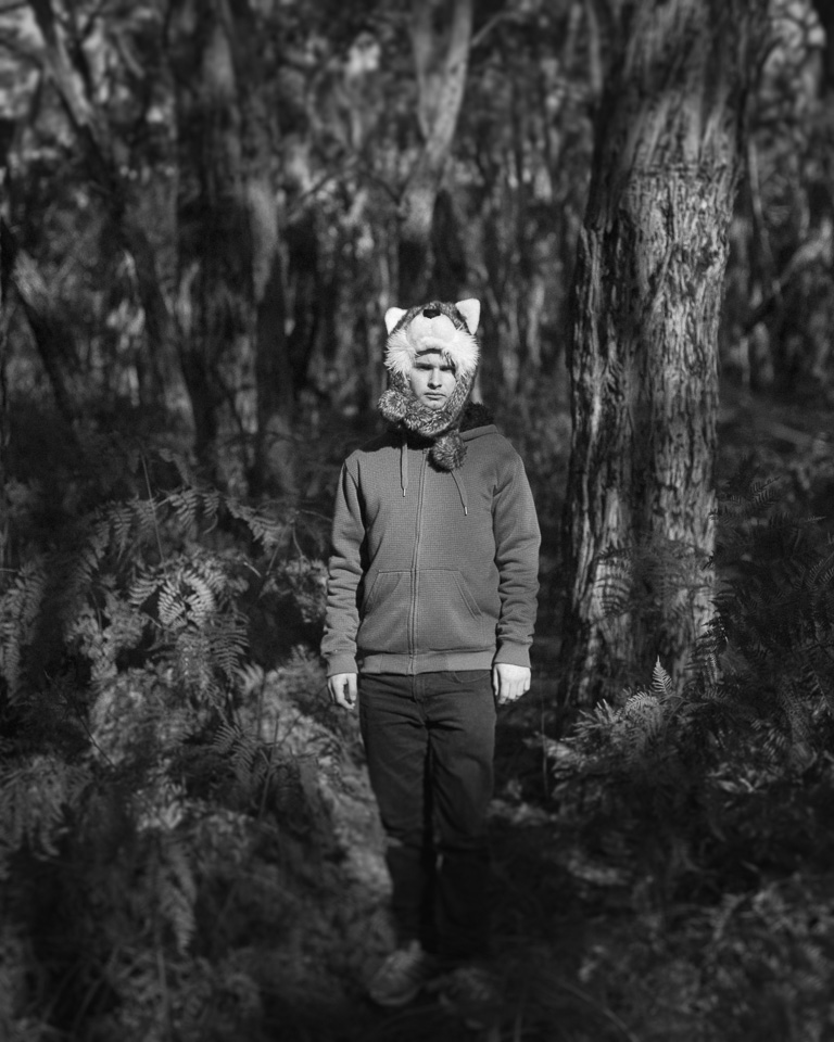 A bear in the woods...