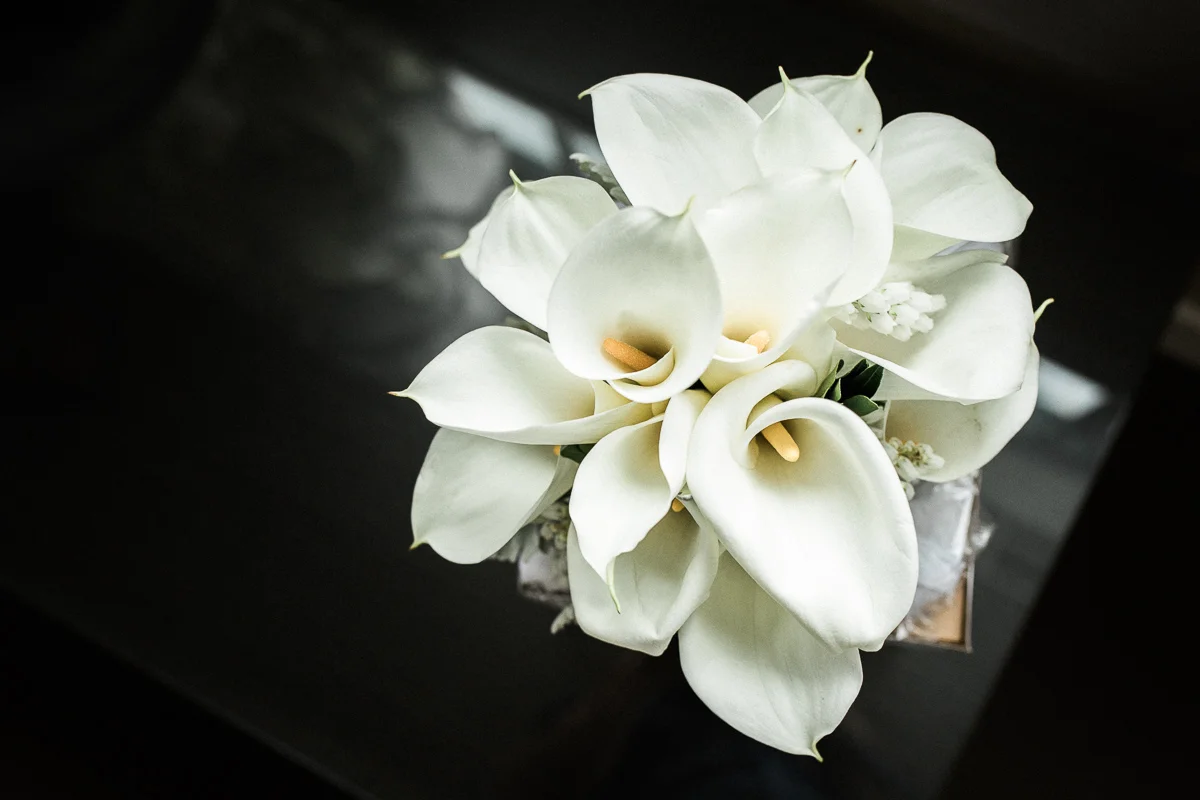 Ceri and Fulli-0272.jpg