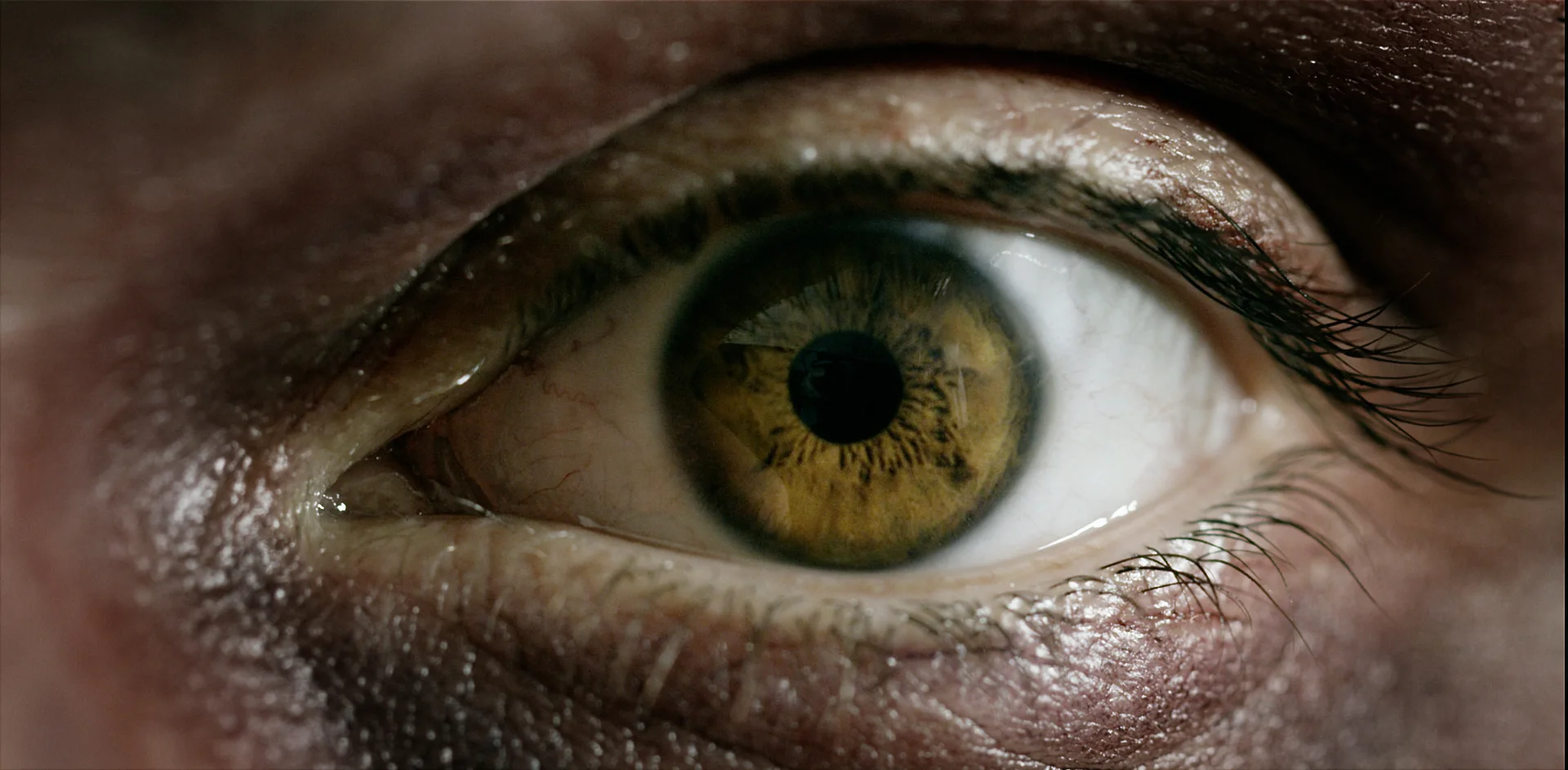 40_SNAPFactory_by_LukeLauner_DP_MatthewScott.jpg
