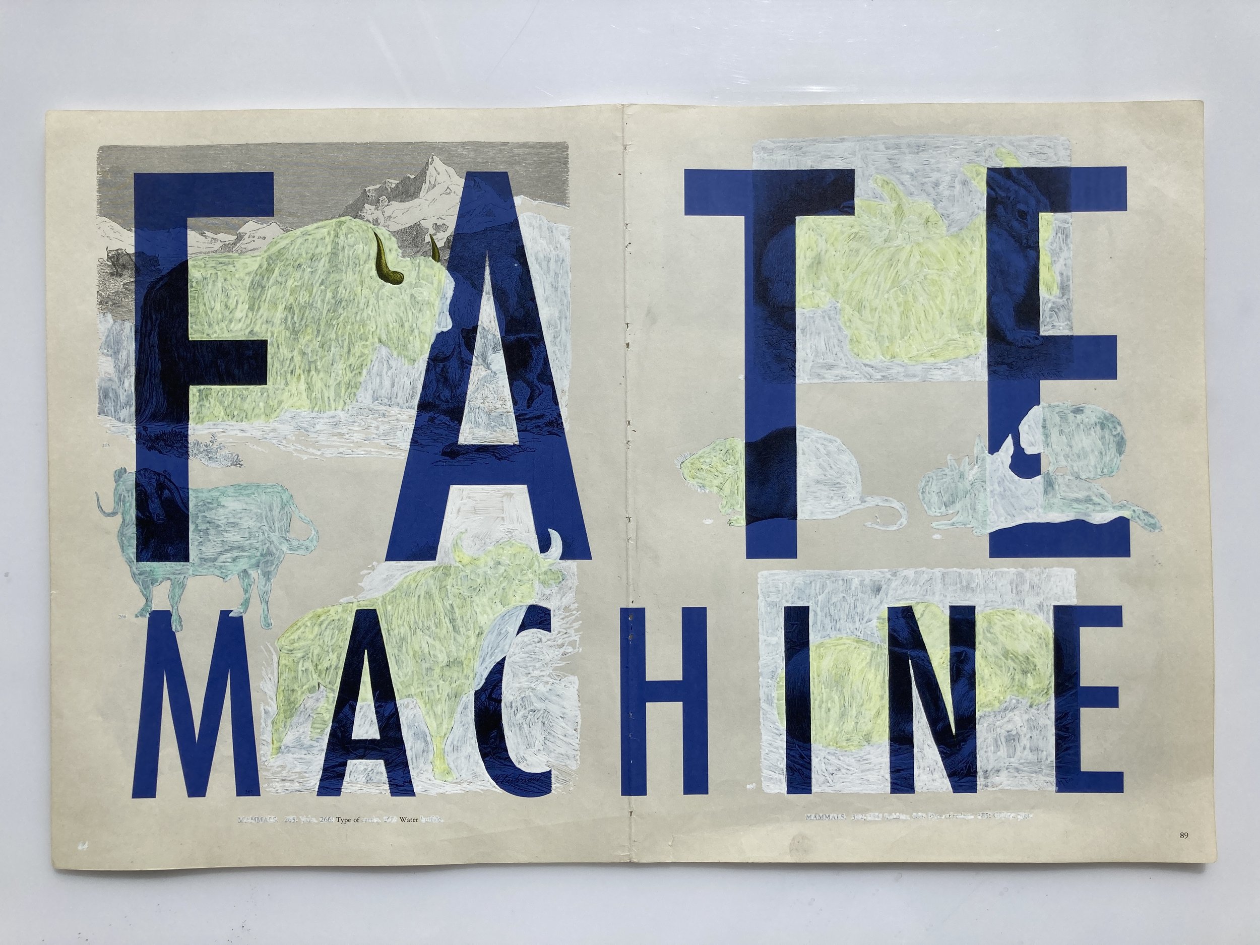 Fate Machine