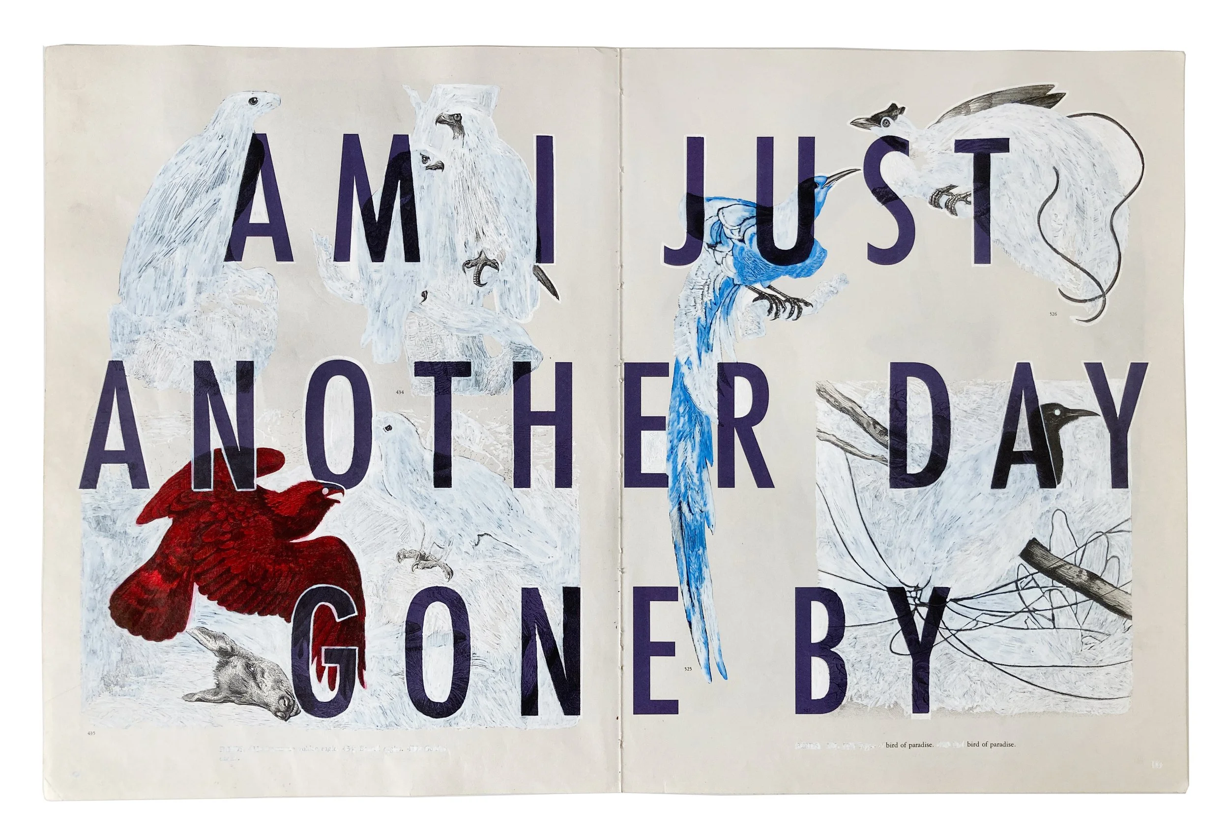 Am I Just Another Day Gone By   |   Inkjet print, ink on found paper |   12 1/4 x 18 3/4 in, 31 x 48 cm   |   2021
