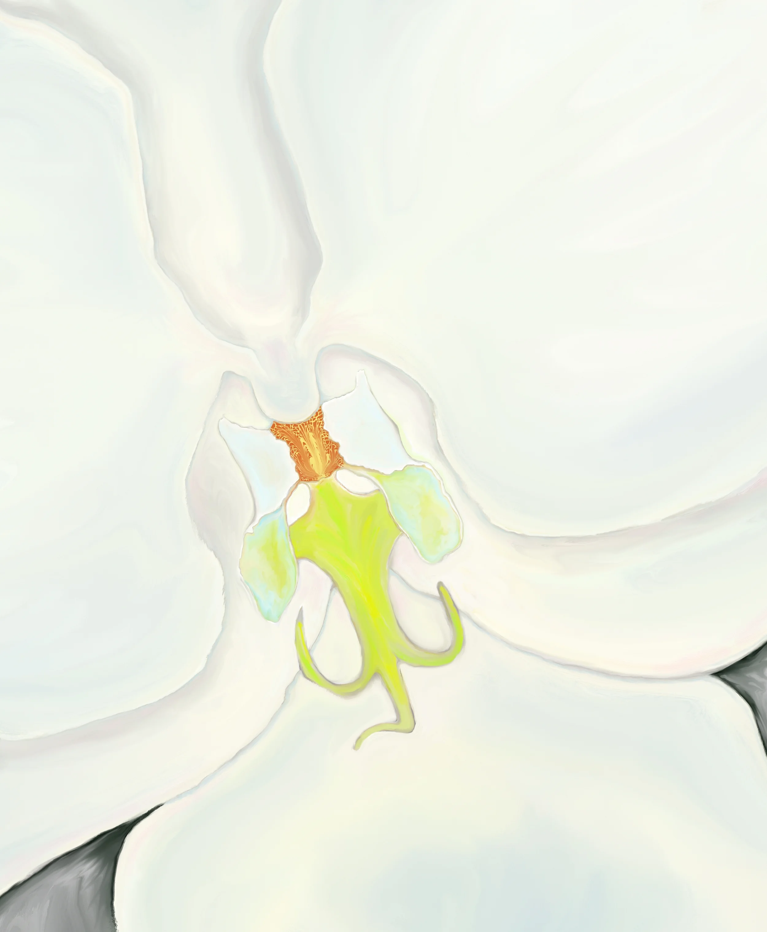 Orchid digital painting by Ginny Reel