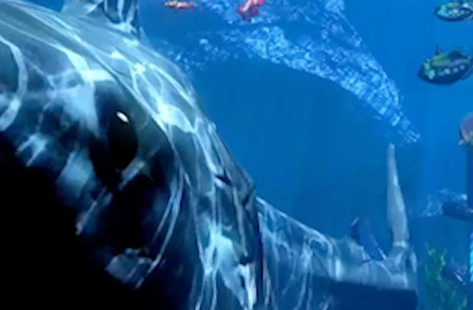 Totems – Technology That's Out of This World: See what it's like to go shopping in the depths of the ocean, in the middle of a tech jungle, or in a winter sports arena with this new animated experience powered by Intel.