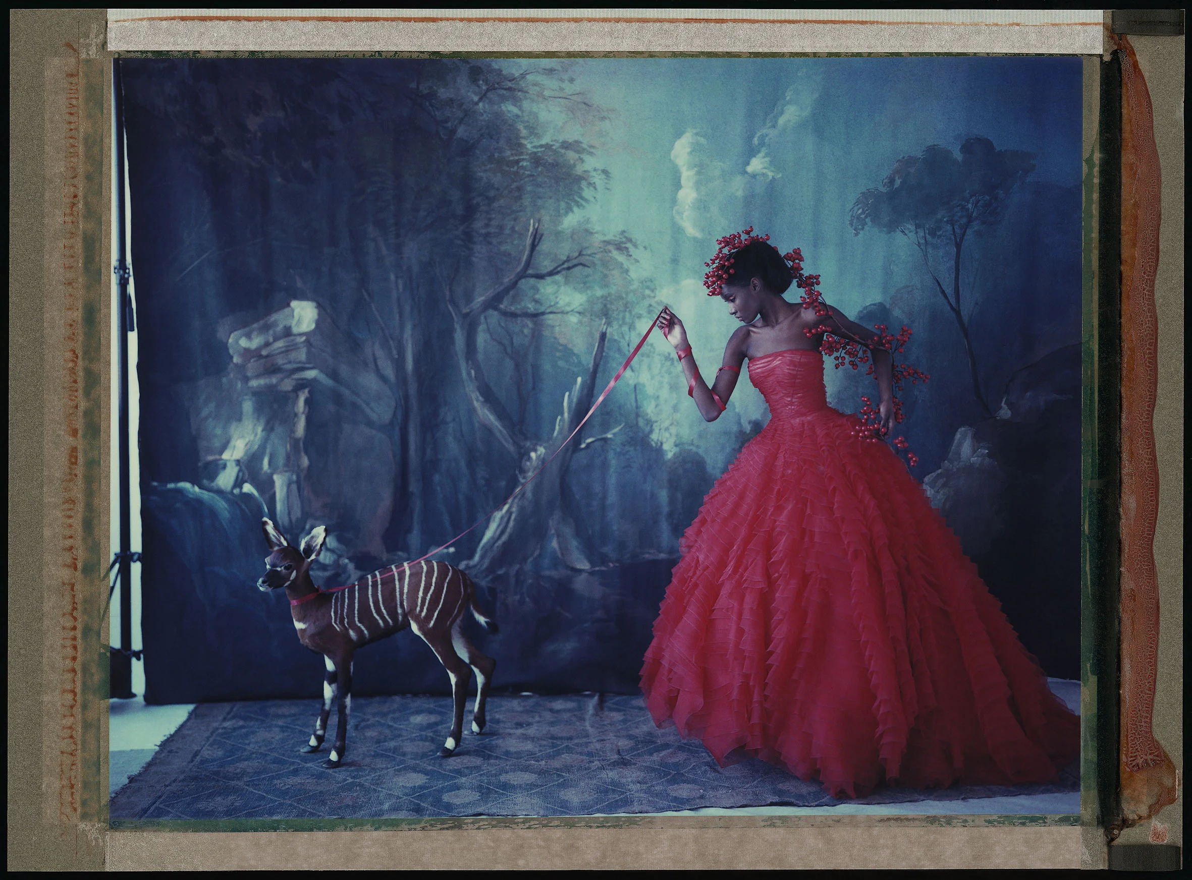 L'ARCHE DE NOÉ XVIII, DIOR - HAUTE COUTURE SUMMER 2012, 2012. Chromogenic print from original polaroid, 24 x 20 inches (60 x 50 cm). © Cathleen Naundorf / Courtesy Edwynn Houk Gallery, New York & Zürich