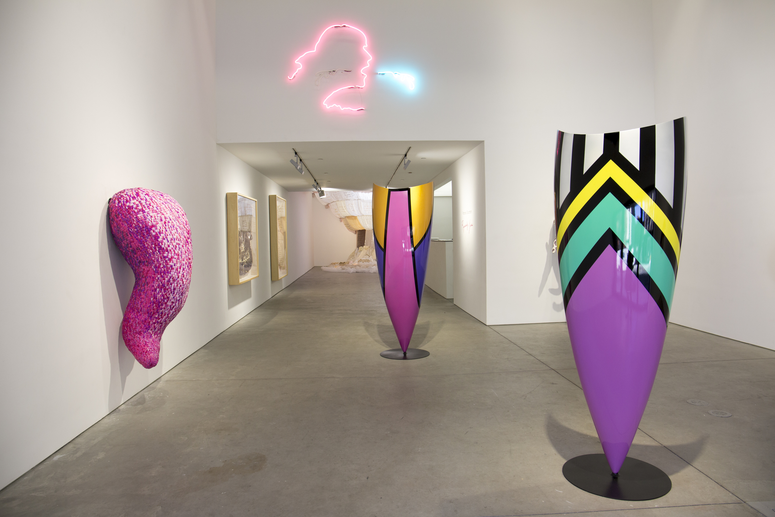 Rapaciously Yours (2016), installation view. Courtesy of the artist and Richard Taittinger Gallery, New York.