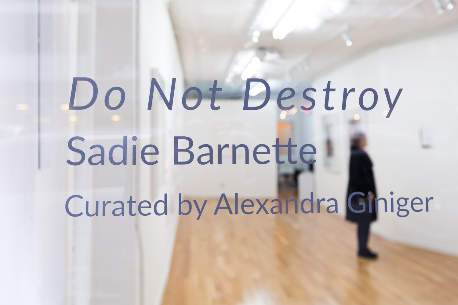 170118-Sadie_Barnette-Do_Not_Destroy_002.jpg