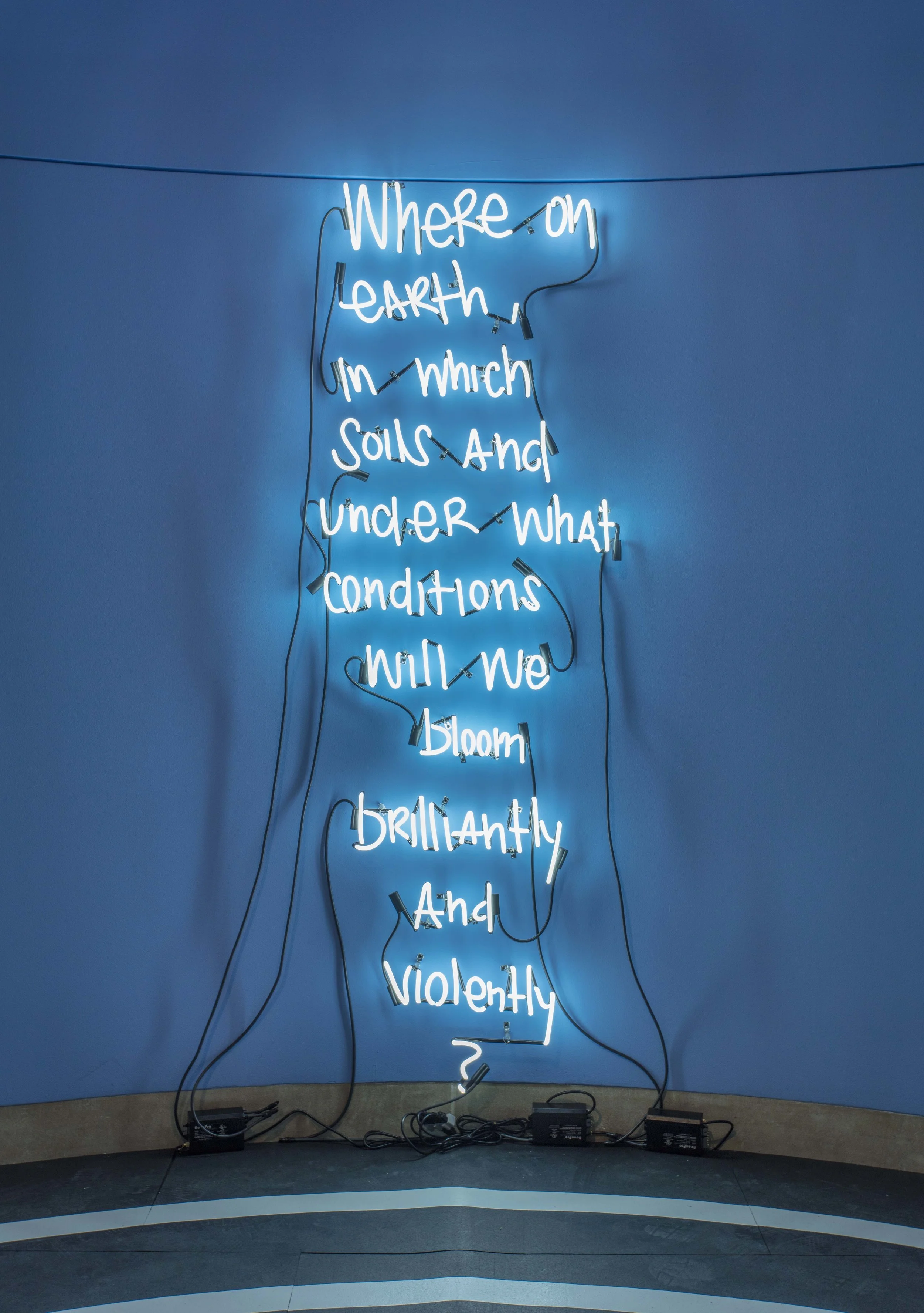 EJ Hill, Installation view, Made in L.A. 2018, June 3-September 2, 2018, Hammer Museum, Los Angeles. Photo: Brian Forrest