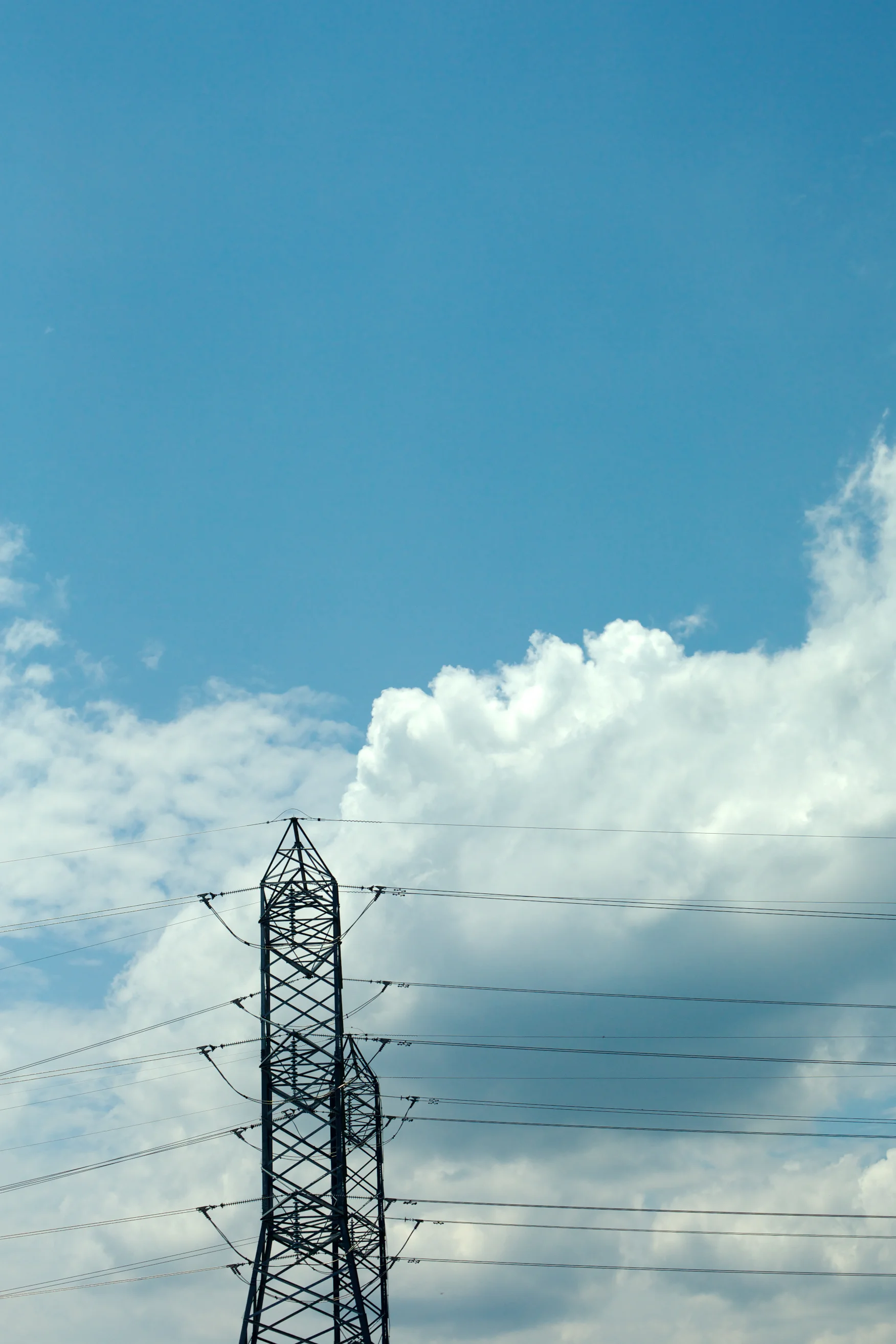 NI1C9411.jpg