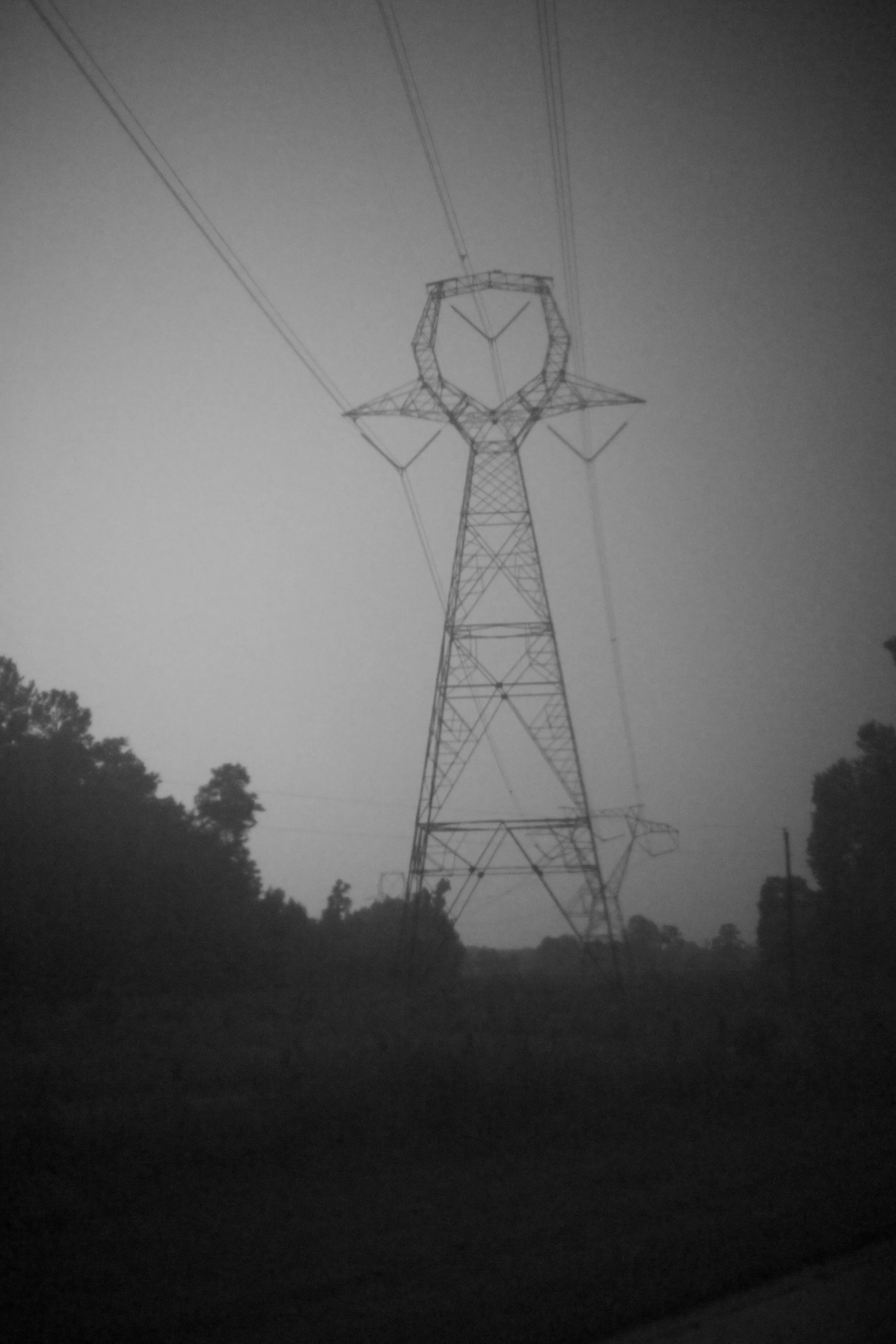 NI1C9519.jpg