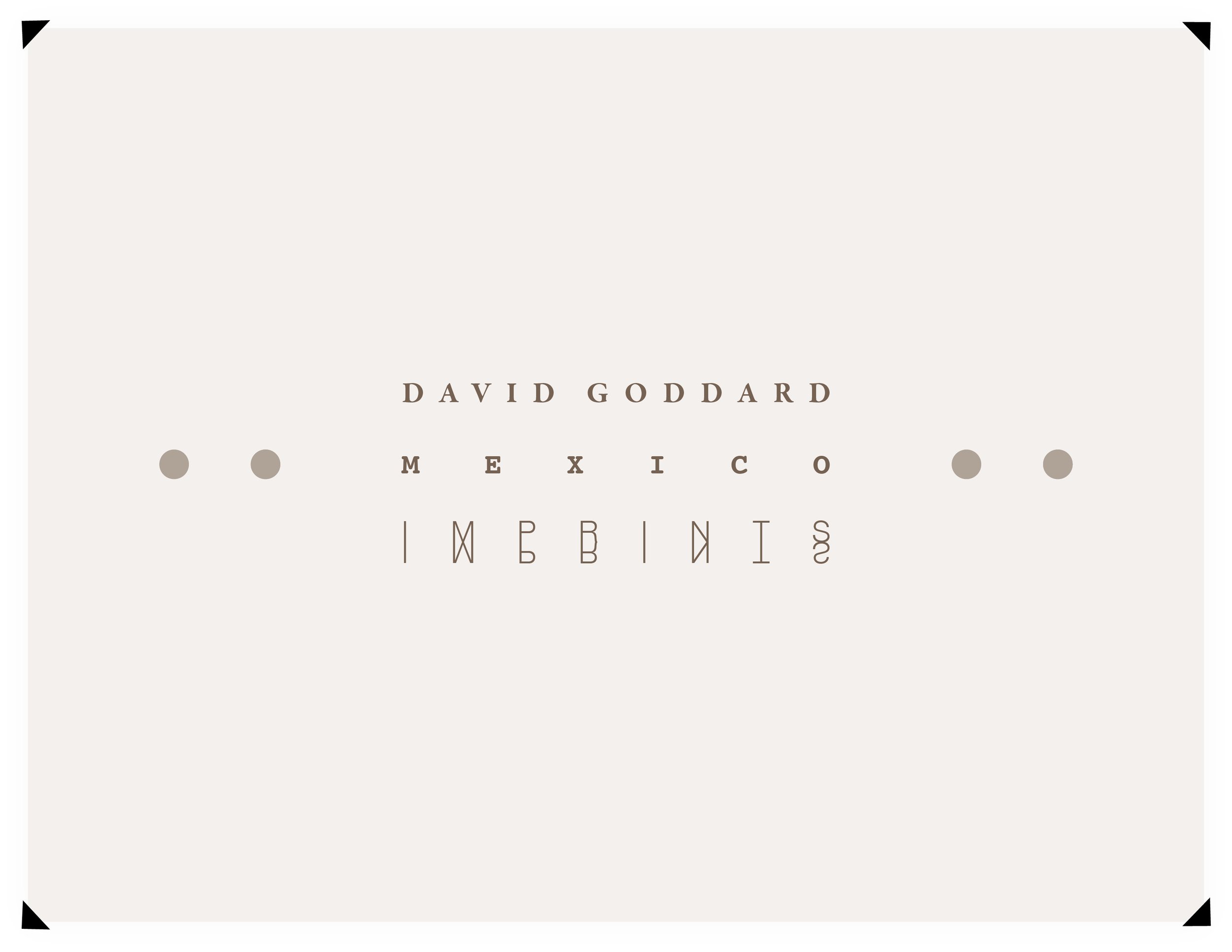 david-goddard-photography-imprints-mexico-exhibition-title.jpg