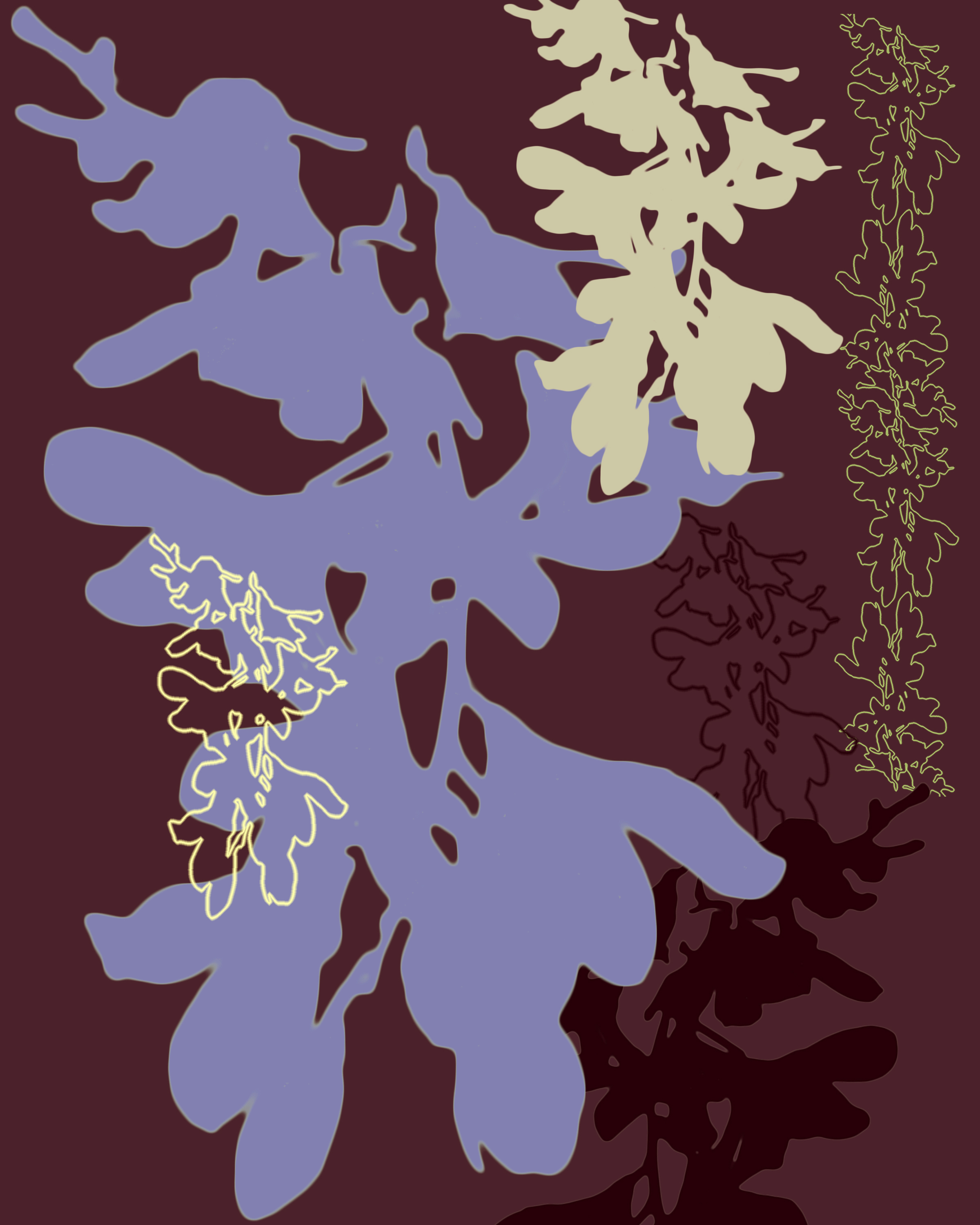 ORCHIDS, CocoLav