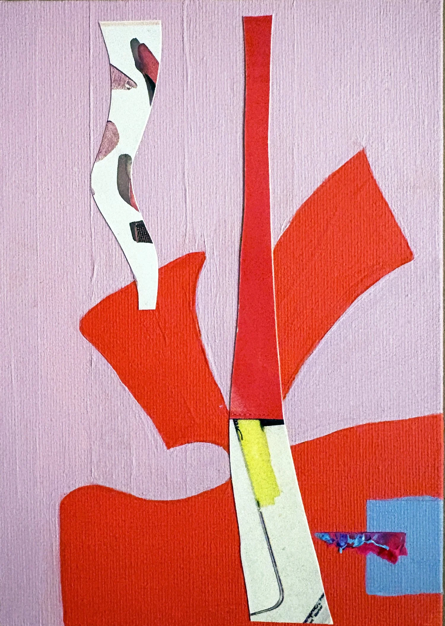 Cruella 5x7 mixed media collage Ceil Diskin 2025.jpg