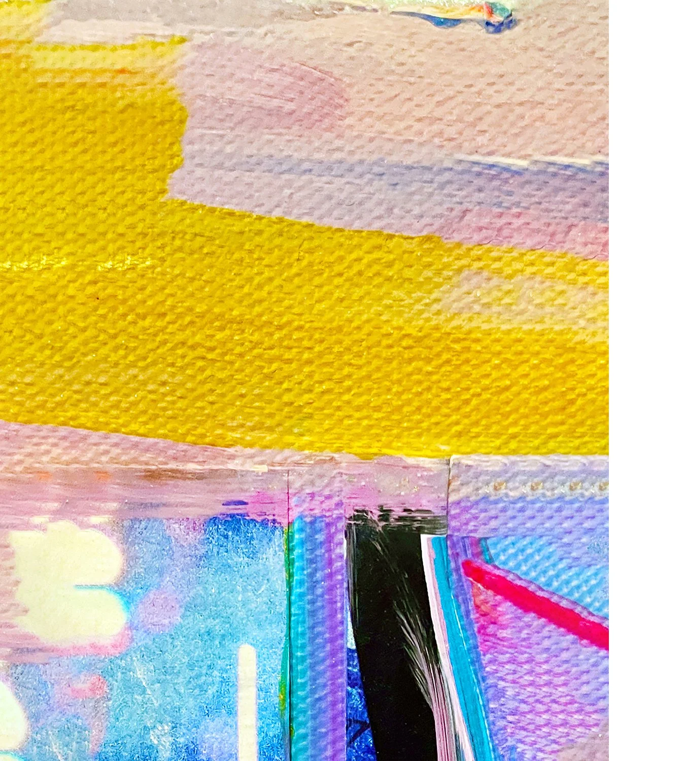Sunny-8x10 print-Ceil Diskin 2025-white edge.jpg