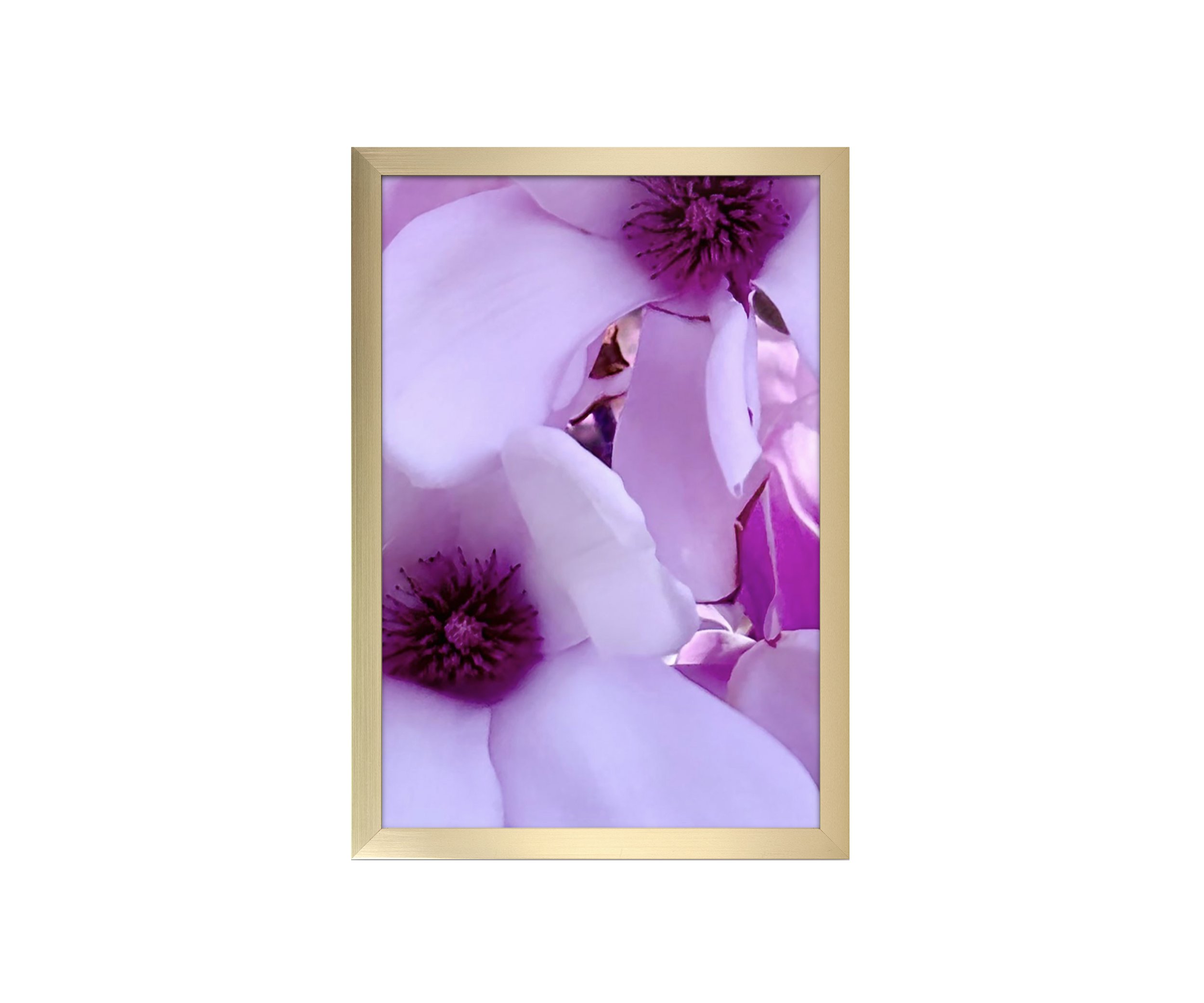 First Blush Lavender, framed