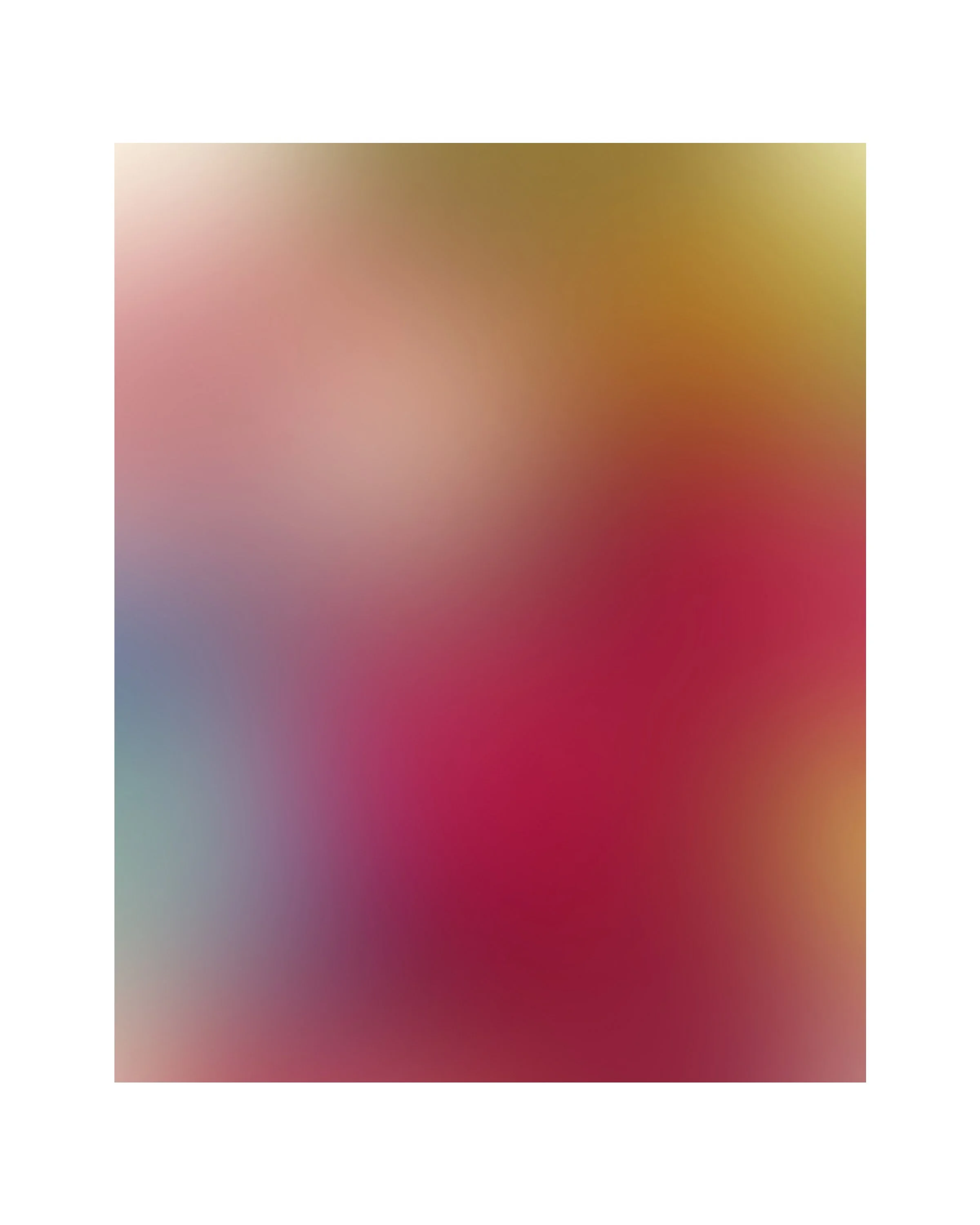 PomPoms-16x20 digital art photo-Ceil Diskin 2024