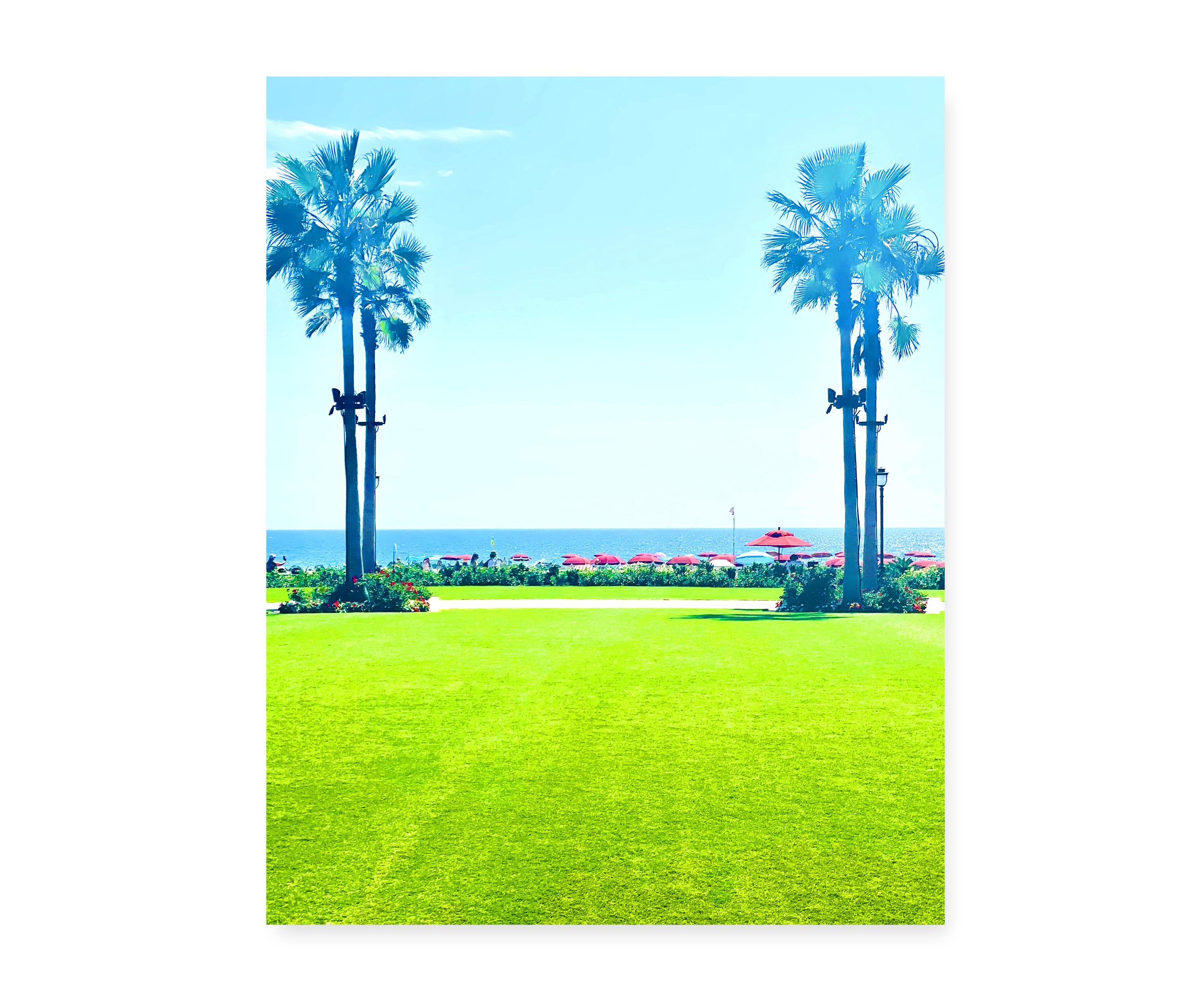 Twin Palm, digital photograph
