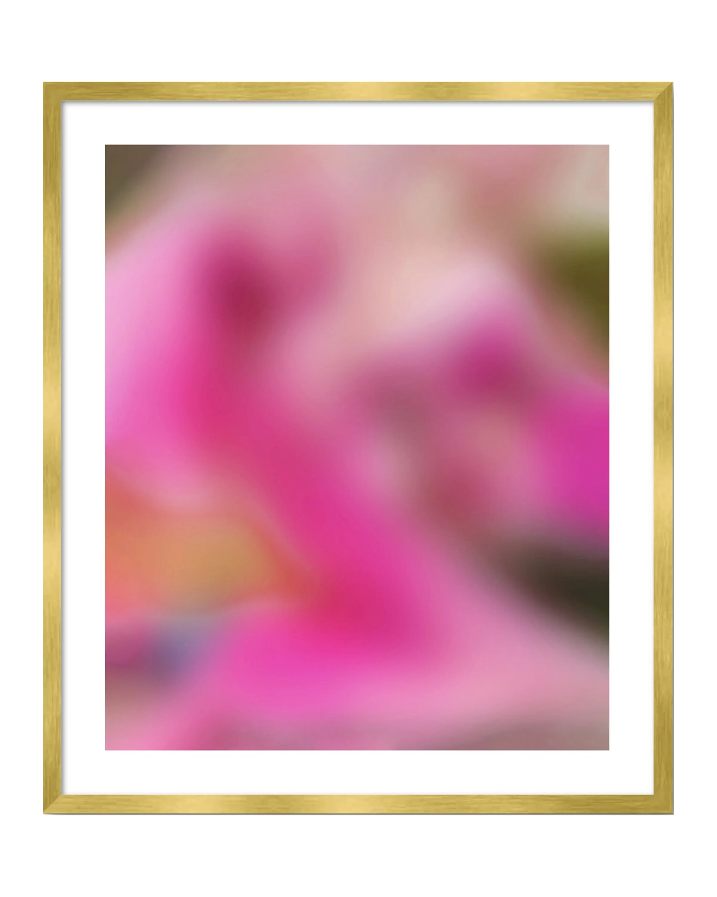 Stargazer Lily 2" border gold frame