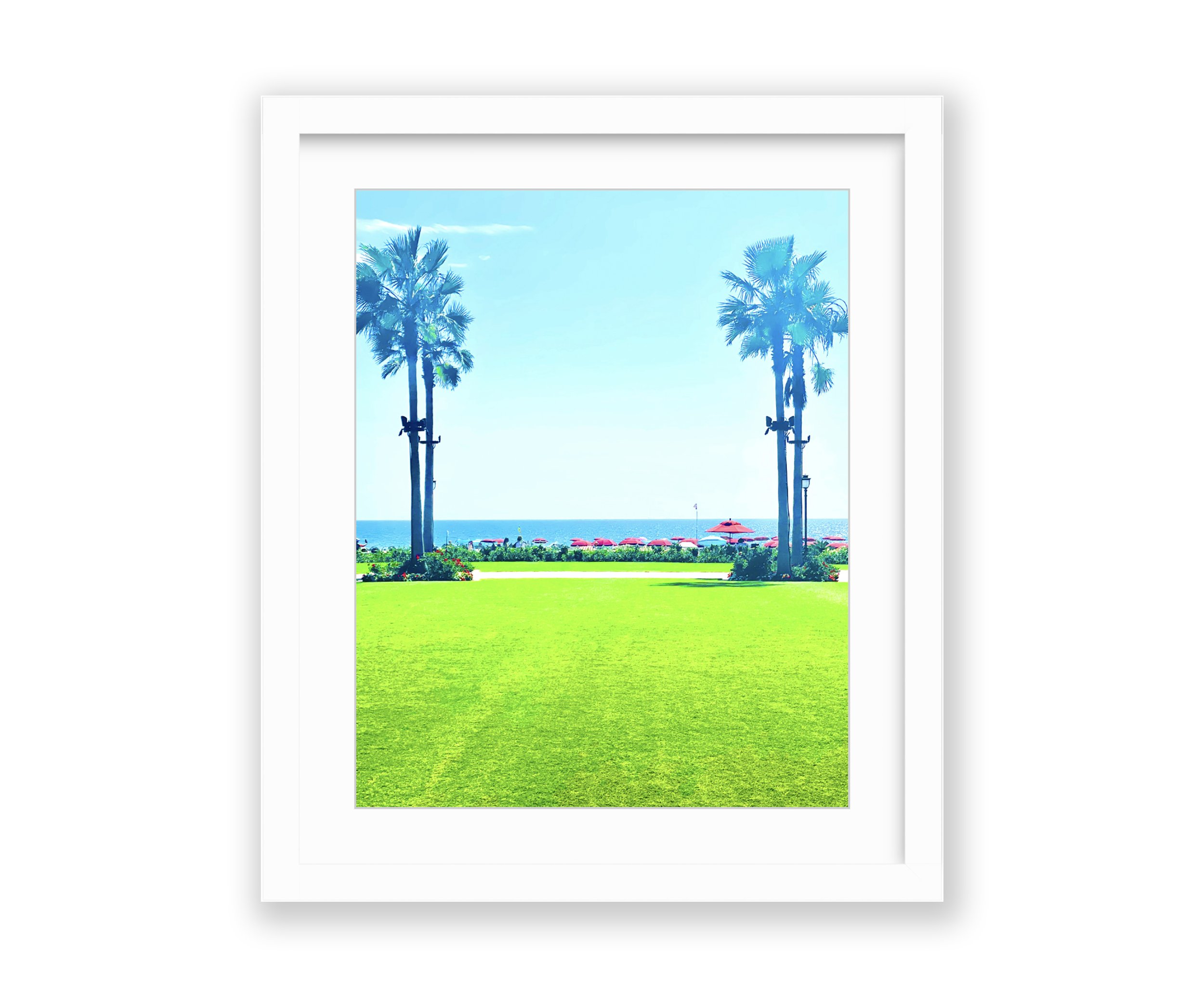 Twin Palm, framed