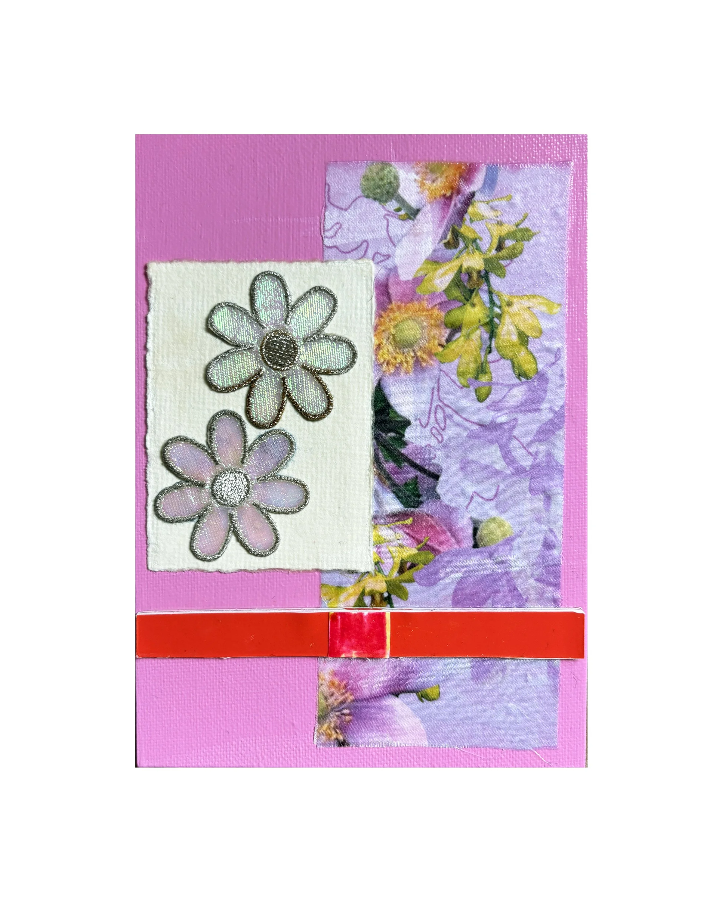 Brielle's Daisies