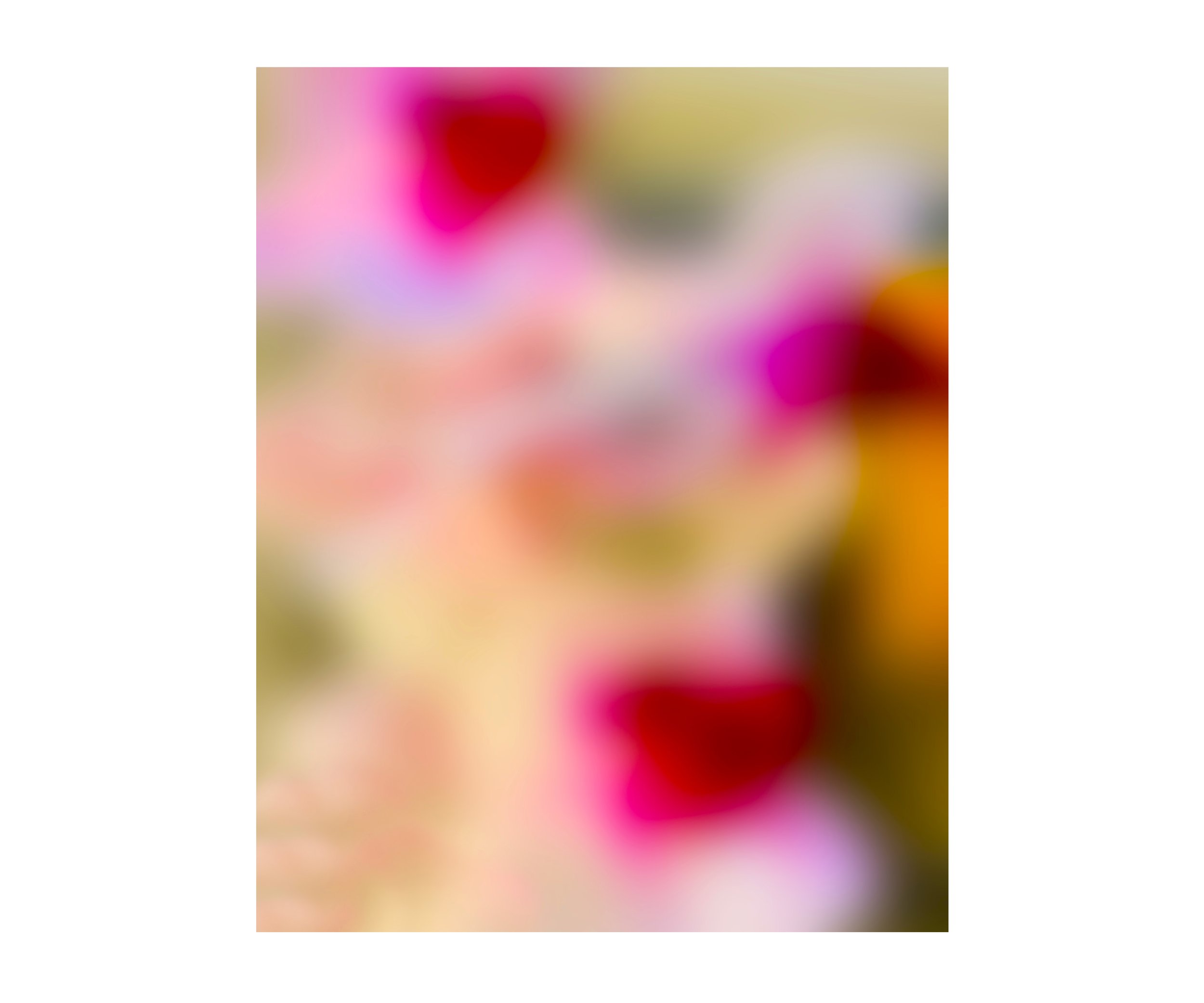 NOW-1, digital photograph