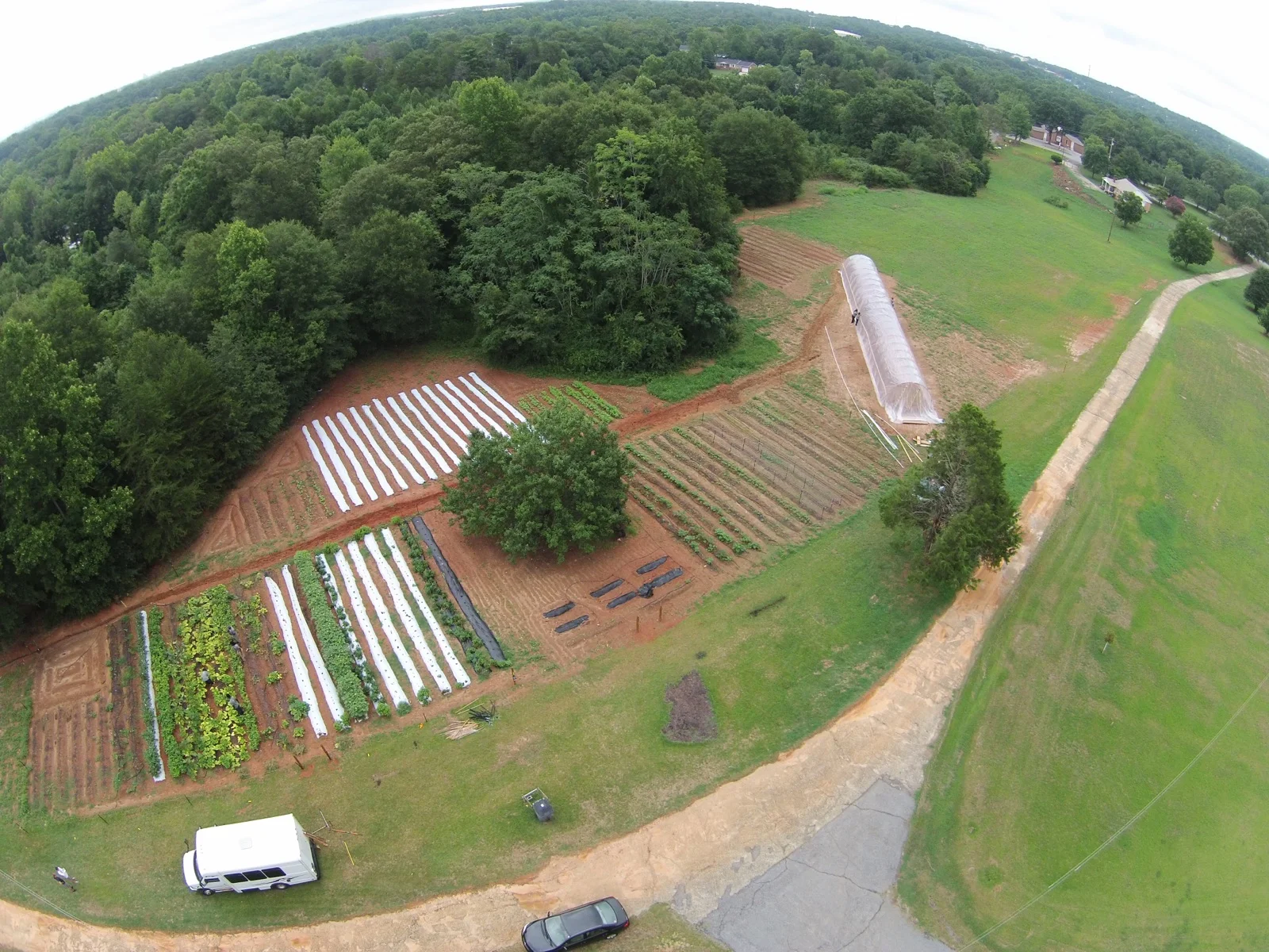 Minnie’s Farm is located in the Staunton Bridge Community off White Horse Road of Greenville, South Carolina. Found right off the Staunton Bridge Road. This farm was built in May of 2016 with the help of many neighborhood partners. It is our largest farm to date.