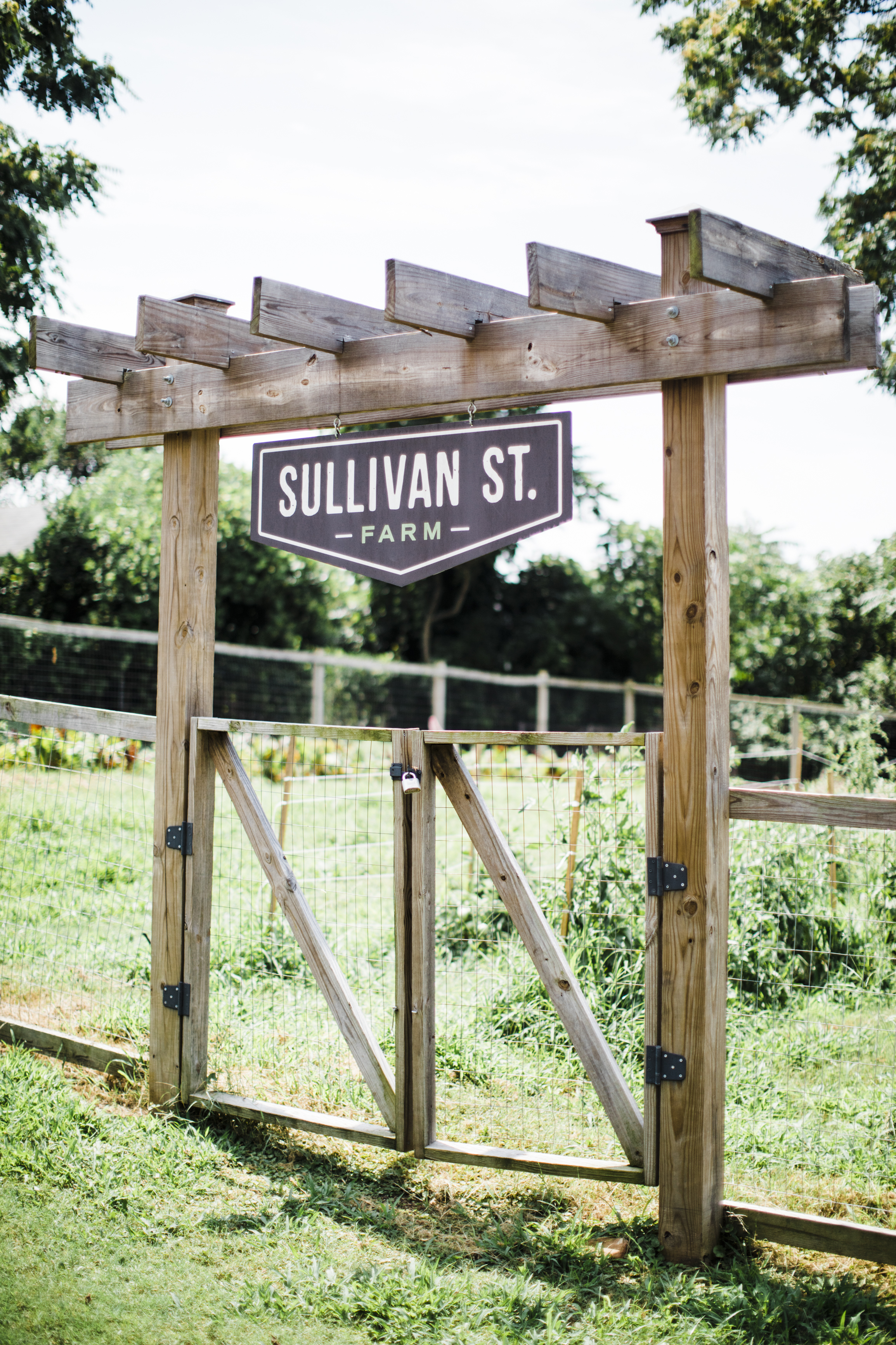 Our Sullivan Street Farm is located in the Greater Sullivan Community of Greenville, South Carolina. We are located at 28 Bolt Street among Long Branch Baptist Church's Unity Park! This farm was built in October 2012 with the help of over 50 volunteers from our neighborhood association, Long Branch Baptist Church, and Grace Church. Sullivan Street even includes a solar-powered greenhouse outfitted with an aquaponic system that simultaneously raises fish while growing even more fresh produce!